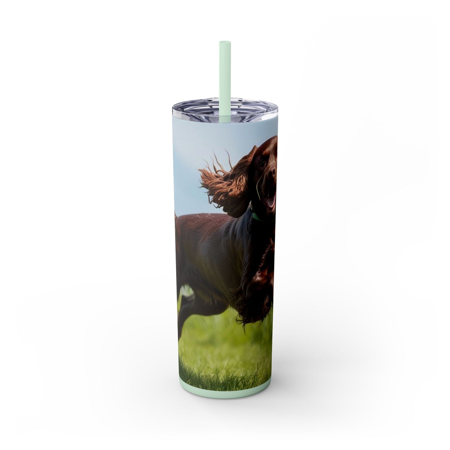 Irish Water Spaniel Tumbler with Straw, 20oz