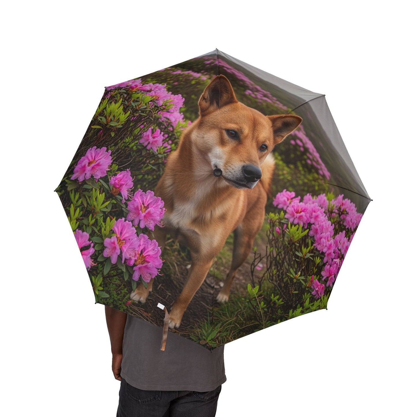 Taiwan Dog Semi-Automatic Foldable Umbrella