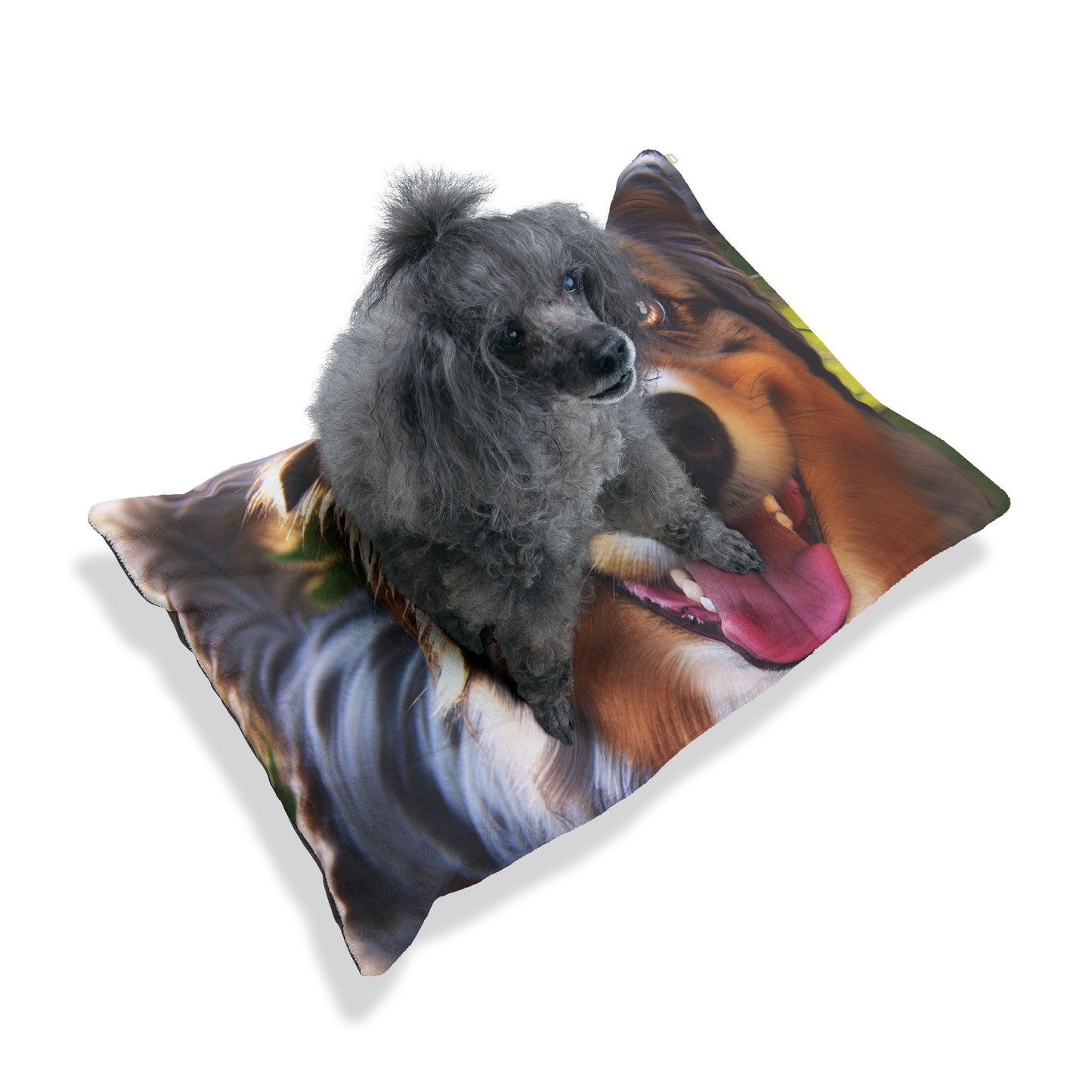 Australian Shepherd Pet Bed