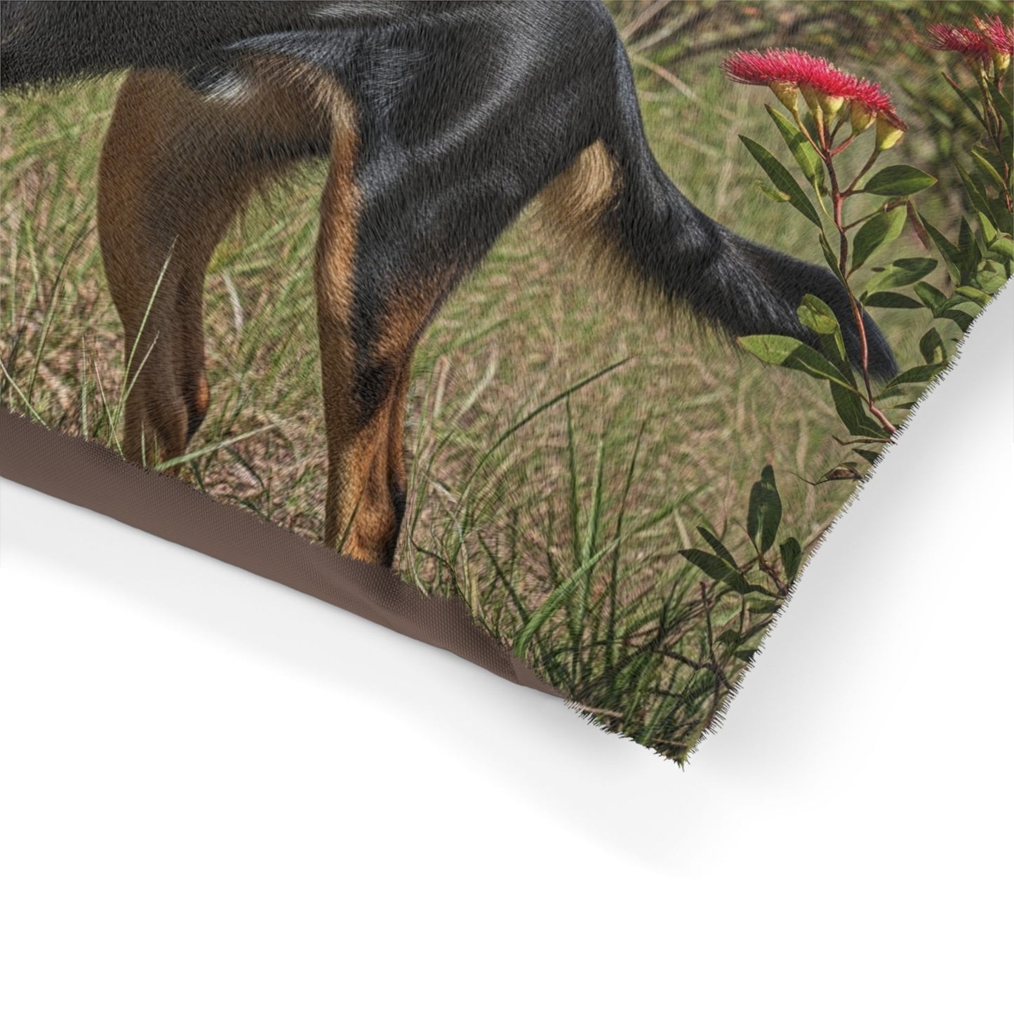 Australian Kelpie Pet Bed