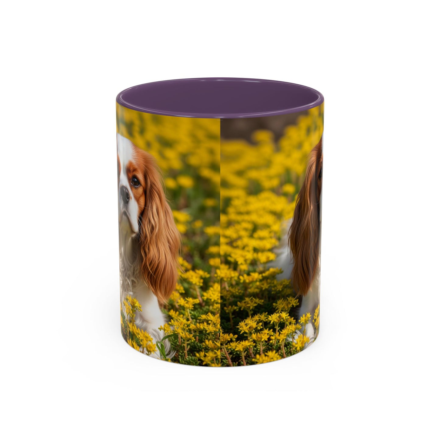 Cavalier King Charles Spaniel Accent Coffee Mug - Perfect Gift for Dog Lovers