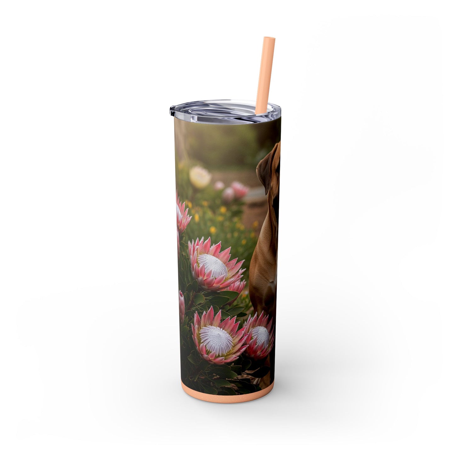 Boerboels Tumbler with Straw, 20oz