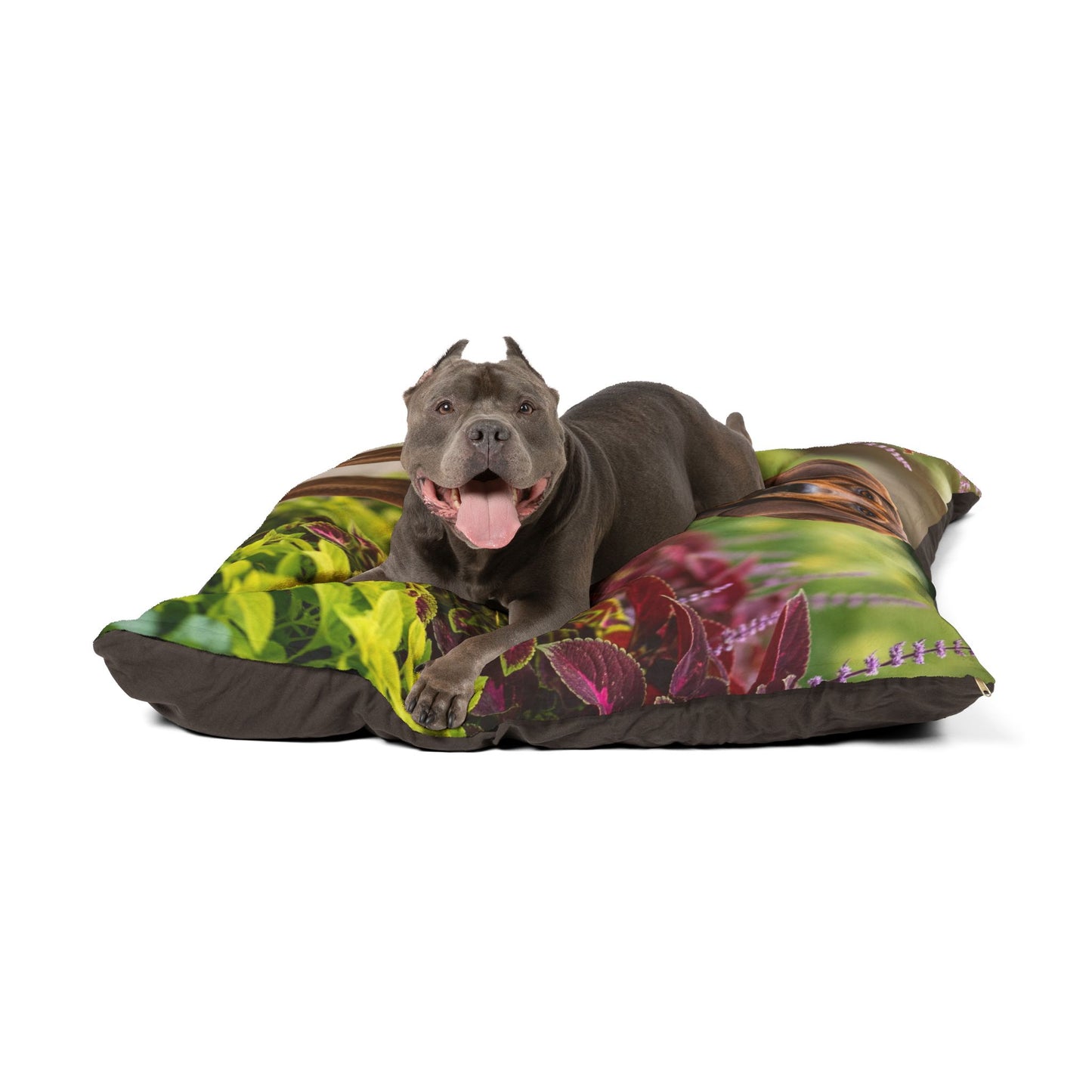 Hamiltonstovare Pet Bed