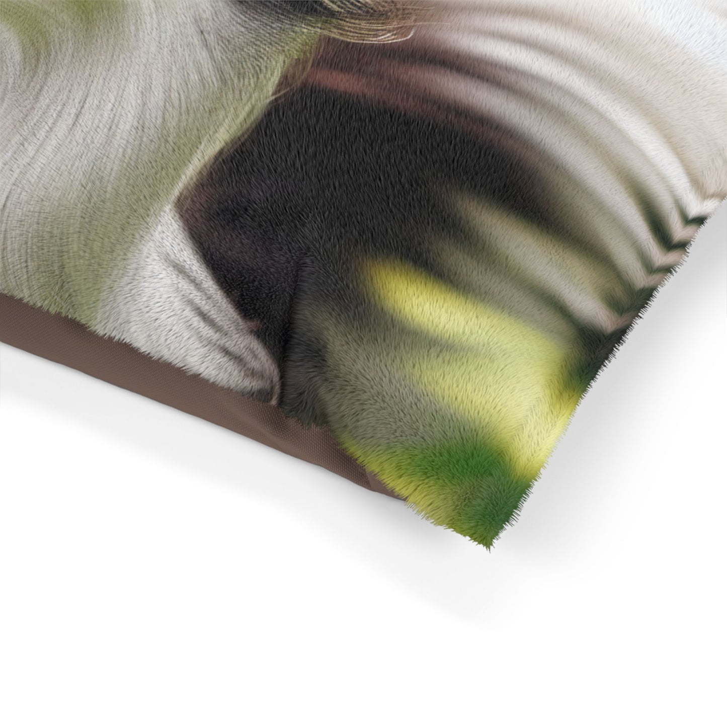 Border Collie Pet Bed
