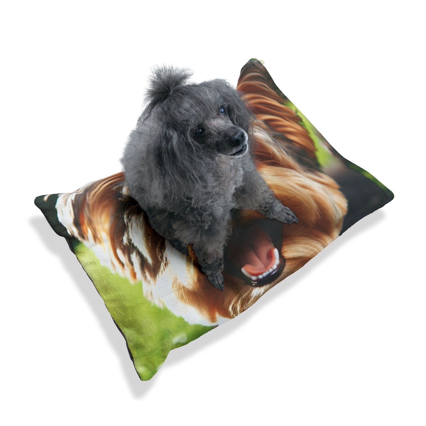 Yorkiepoo Pet Bed