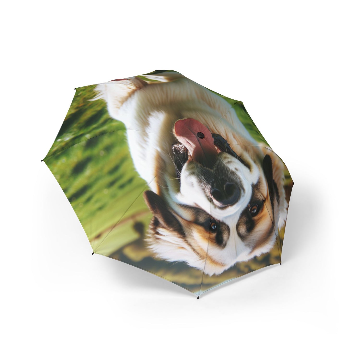 Pyrenean Mastiff Semi-Automatic Foldable Umbrella