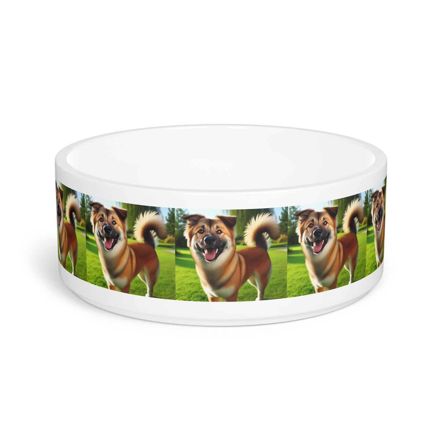 Chinook Pet Bowl