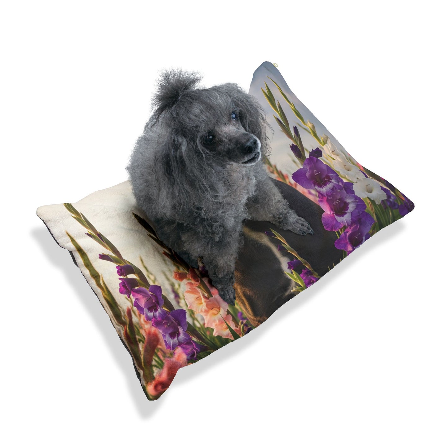 Cane Corso Pet Bed