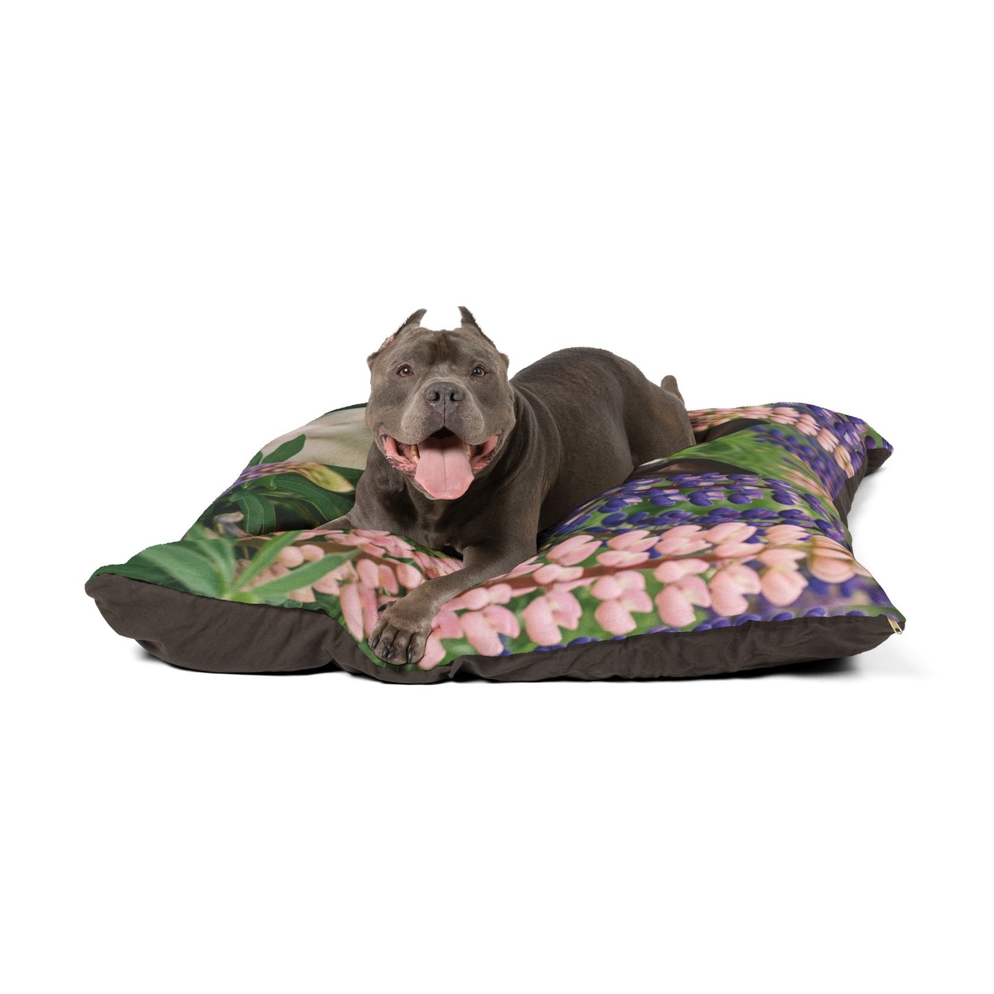 Boston Terrier Pet Bed