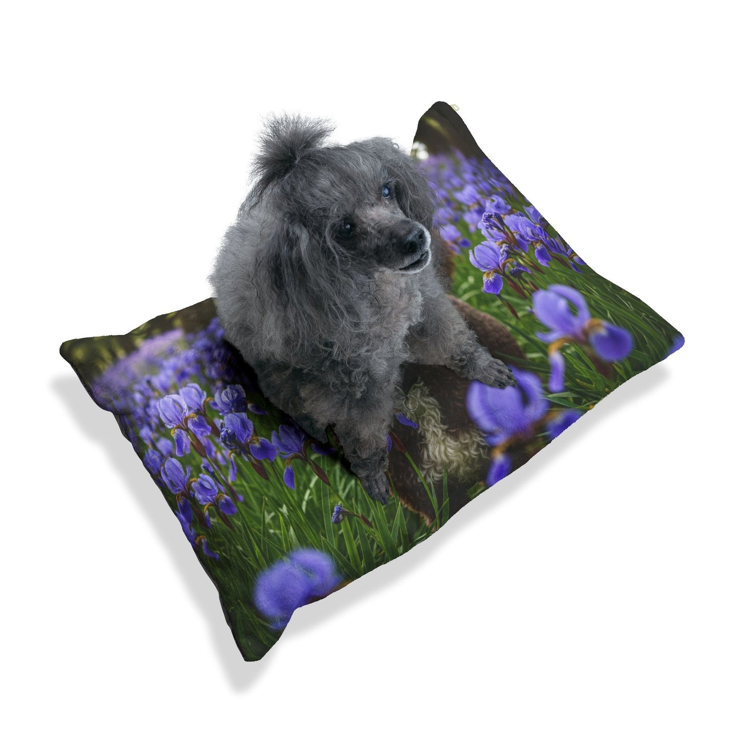 Portuguese Water Dog Pet Bed