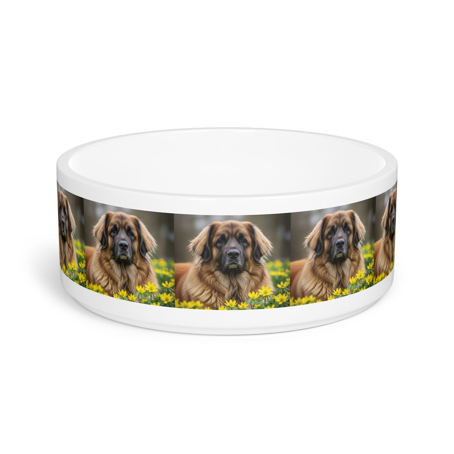 Leonberger Pet Bowl