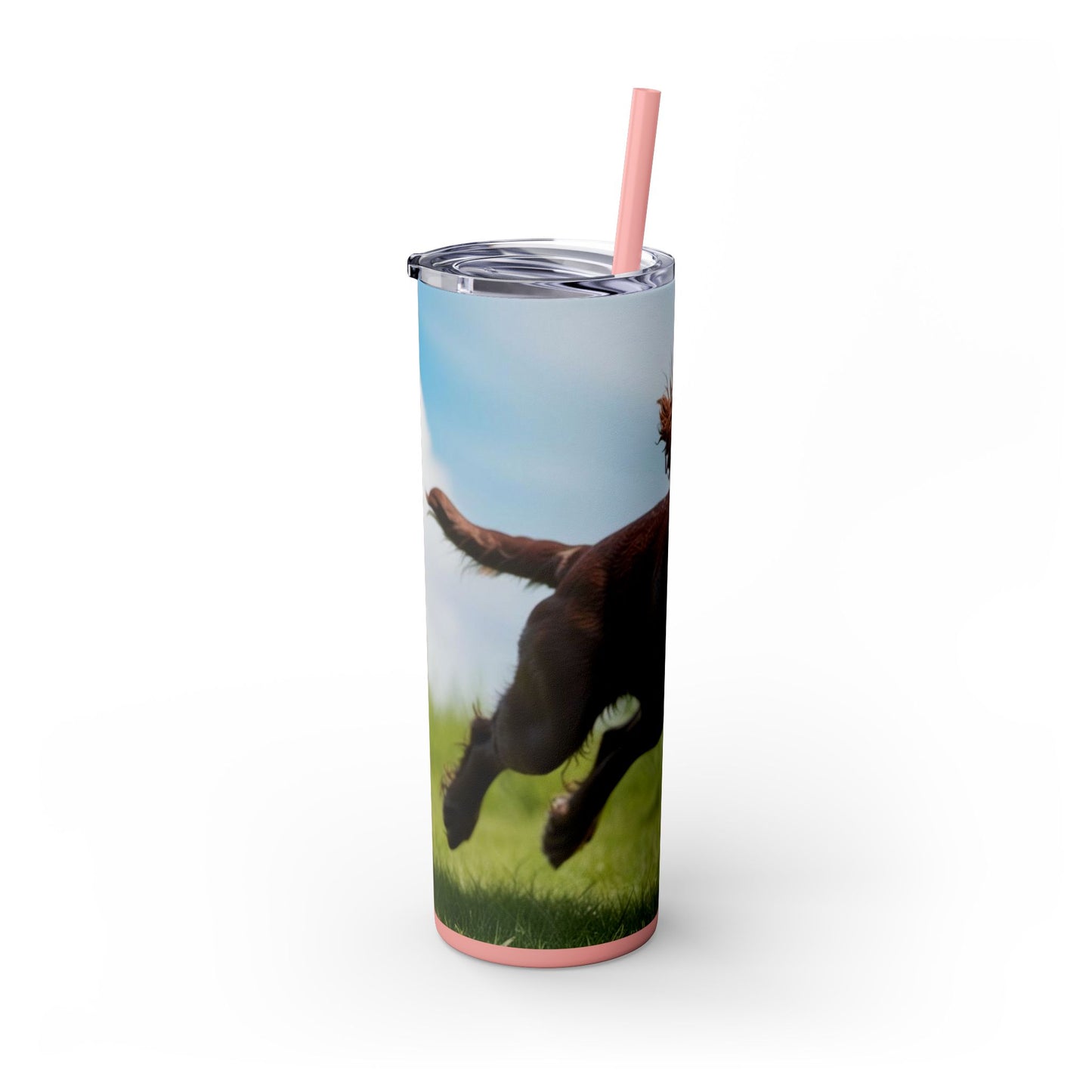 Irish Water Spaniel Tumbler with Straw, 20oz