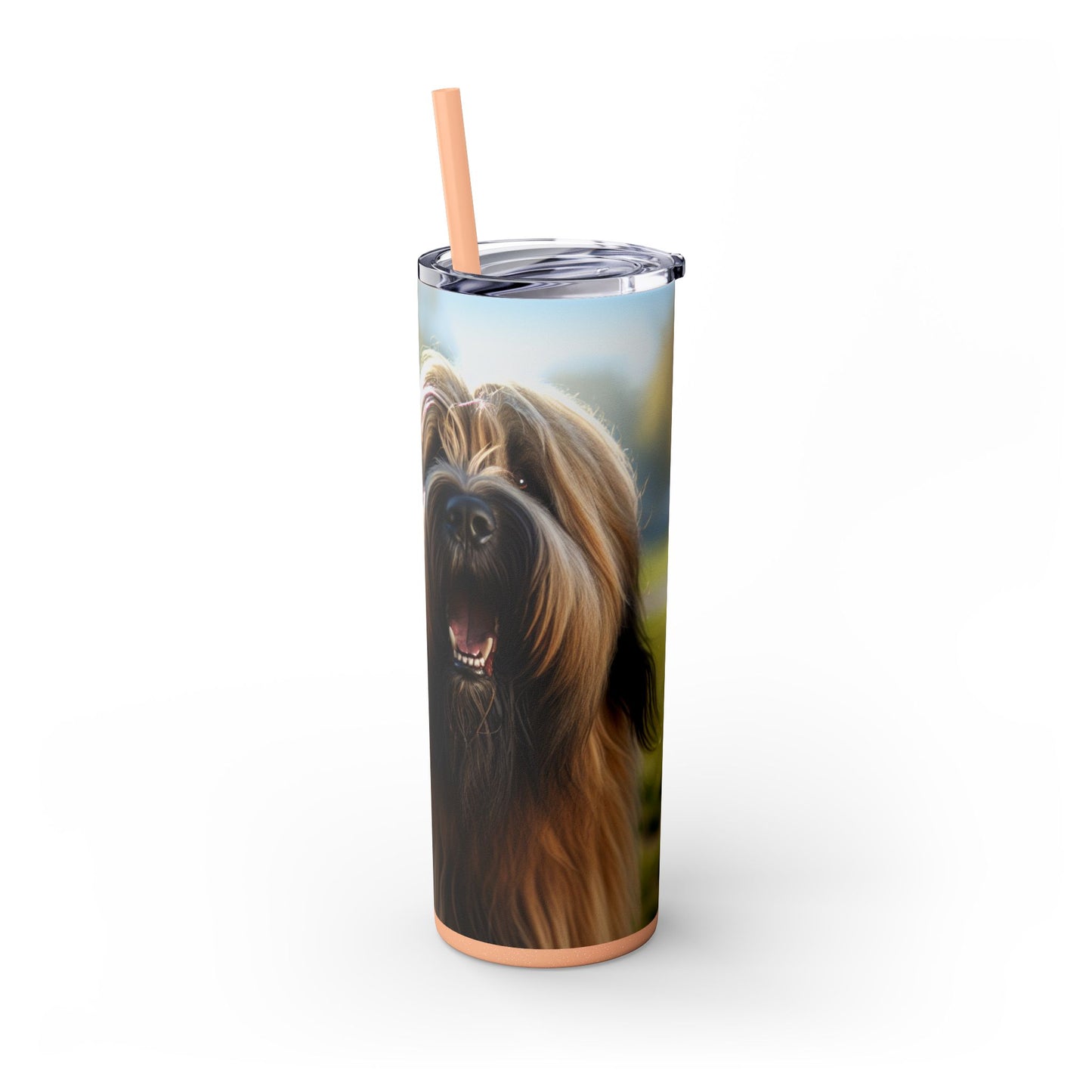 Briard Tumbler with Straw, 20oz