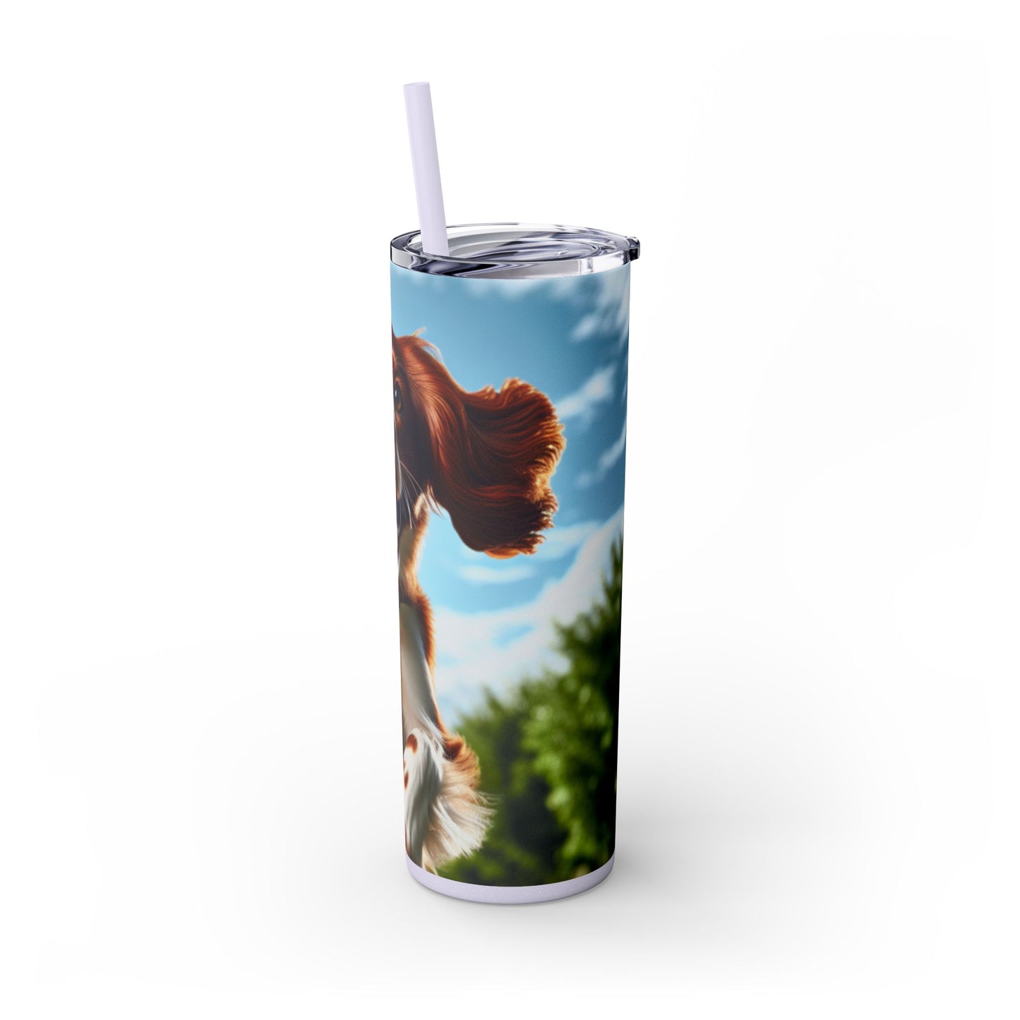 Welsh Springer Spaniel Skinny Tumbler with Straw, 20oz