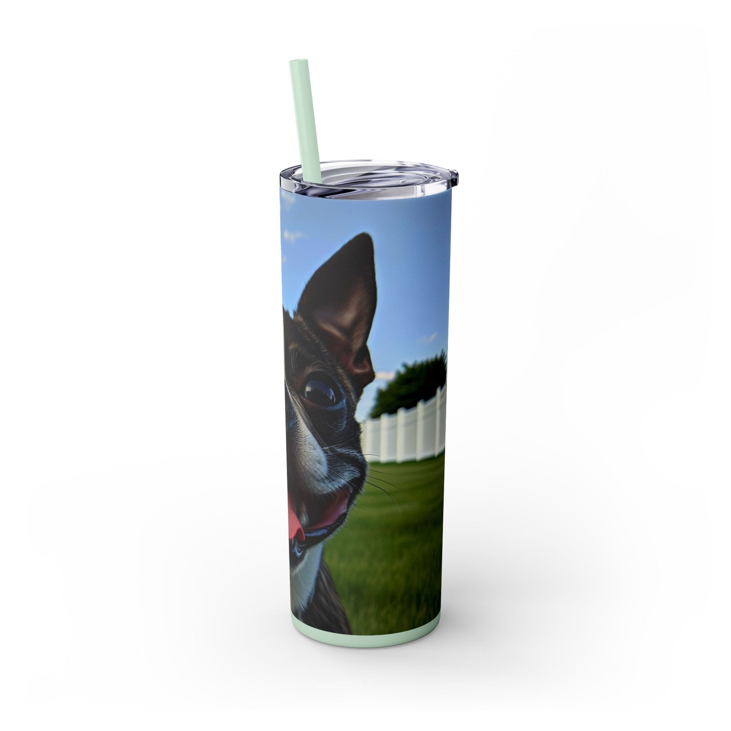 Boston Terrier Tumbler with Straw, 20oz