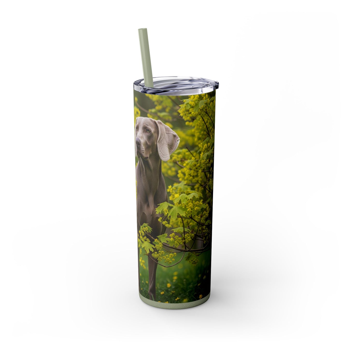 Weimaraner Skinny Tumbler with Straw, 20oz