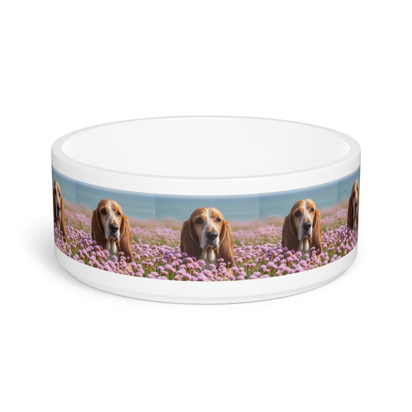Basset Fauve de Bretagne Pet Bowl