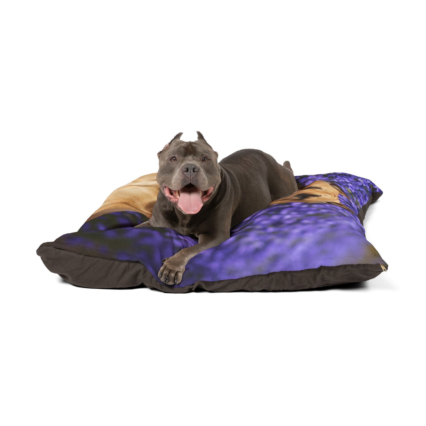 Presa Canario Pet Bed