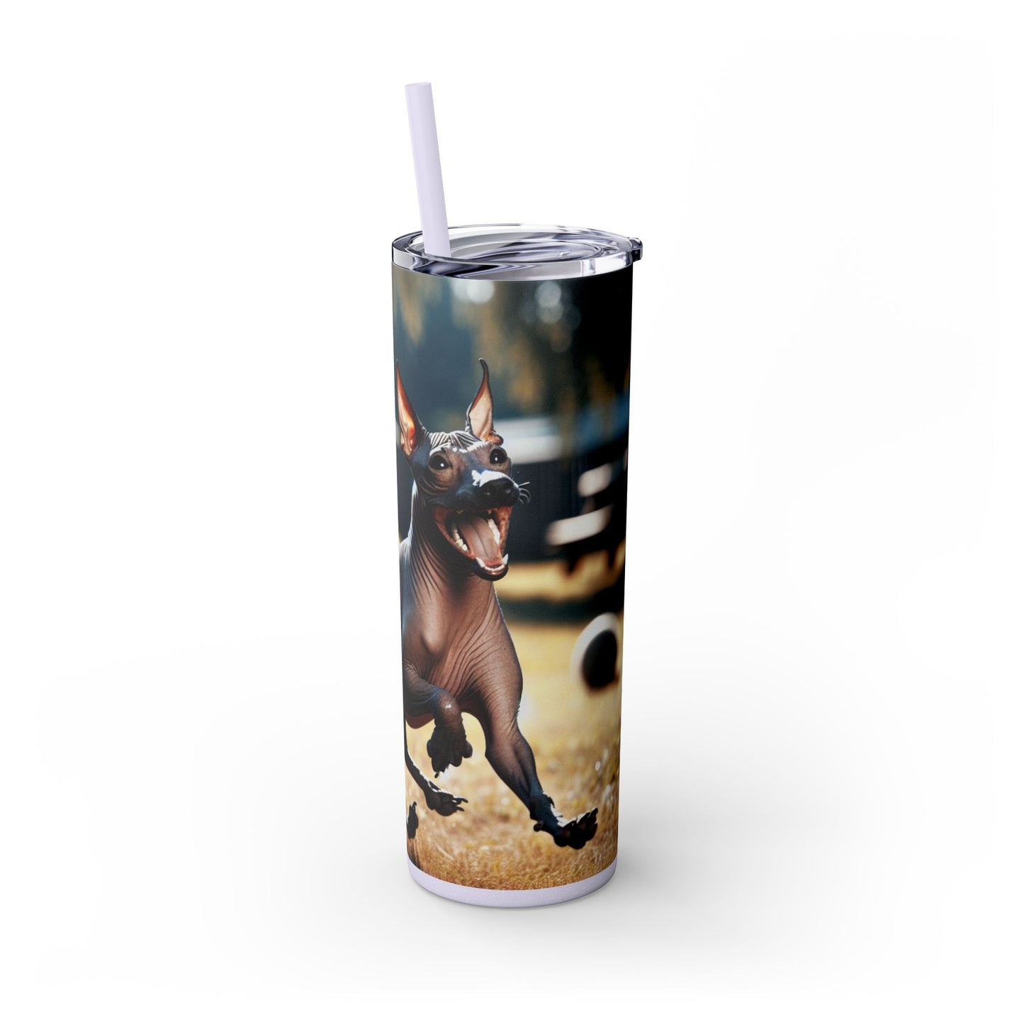 American Hairless Terrier Tumbler with Straw, 20oz