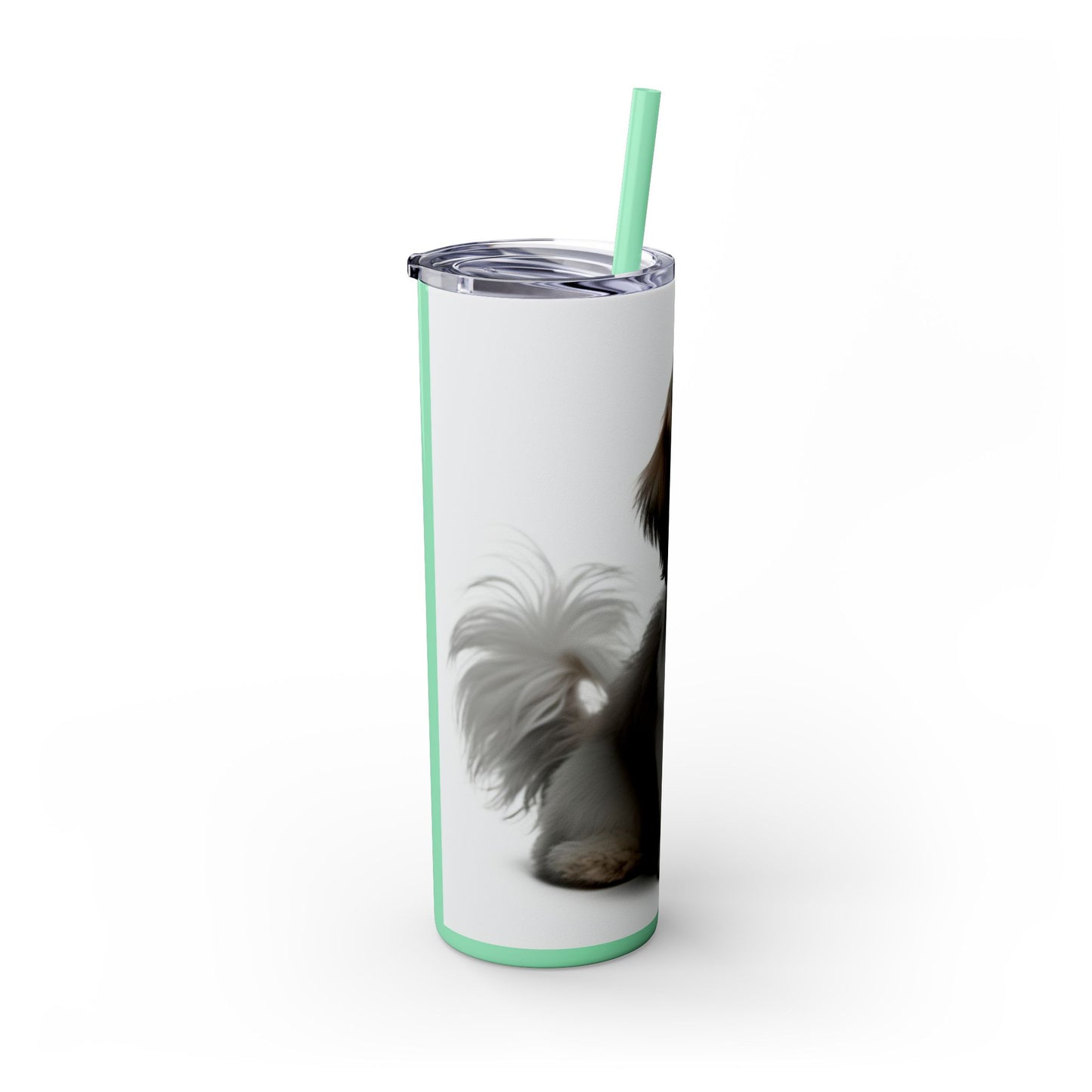 Shihchon Tumbler with Straw, 20oz