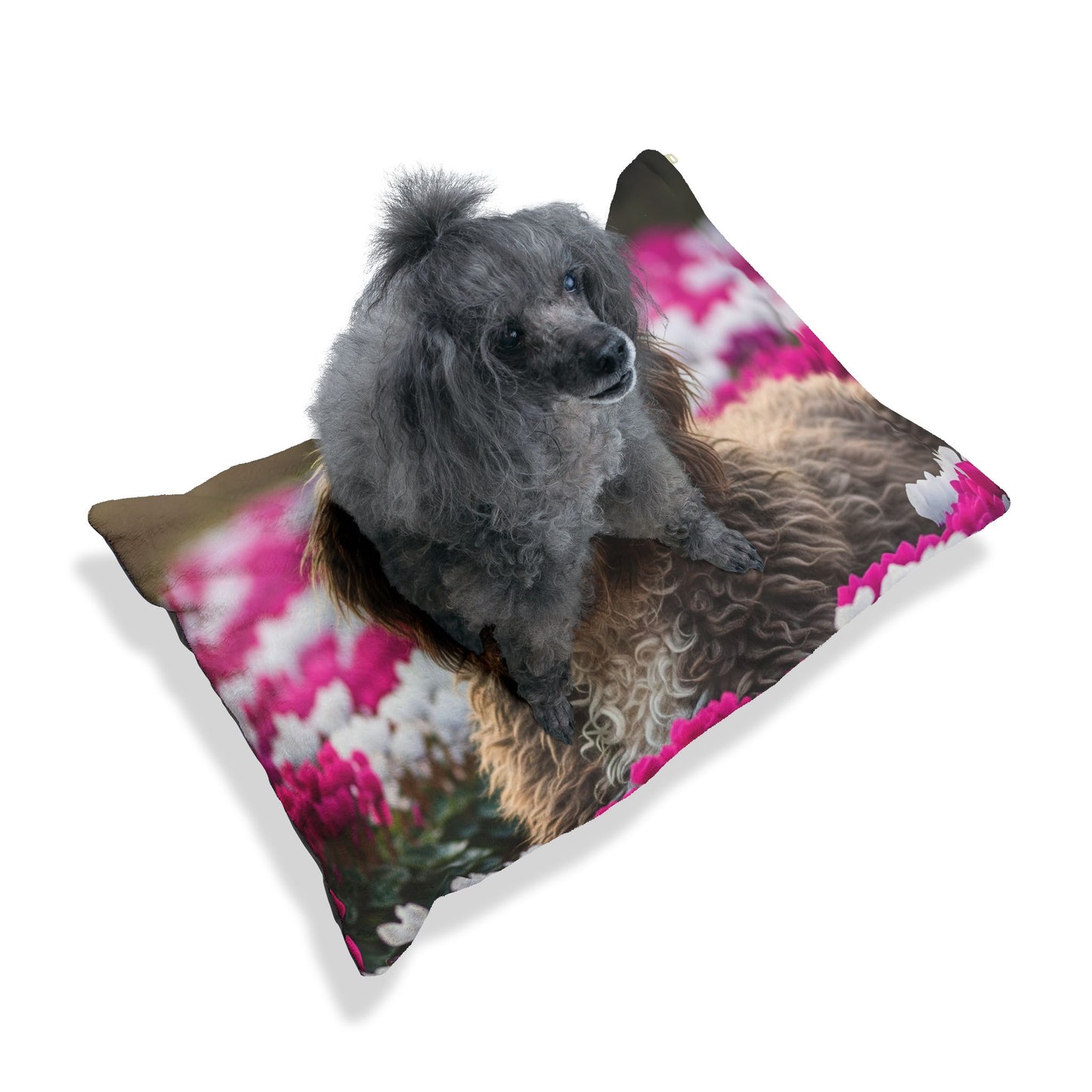 Bergamasco Sheepdog Pet Bed