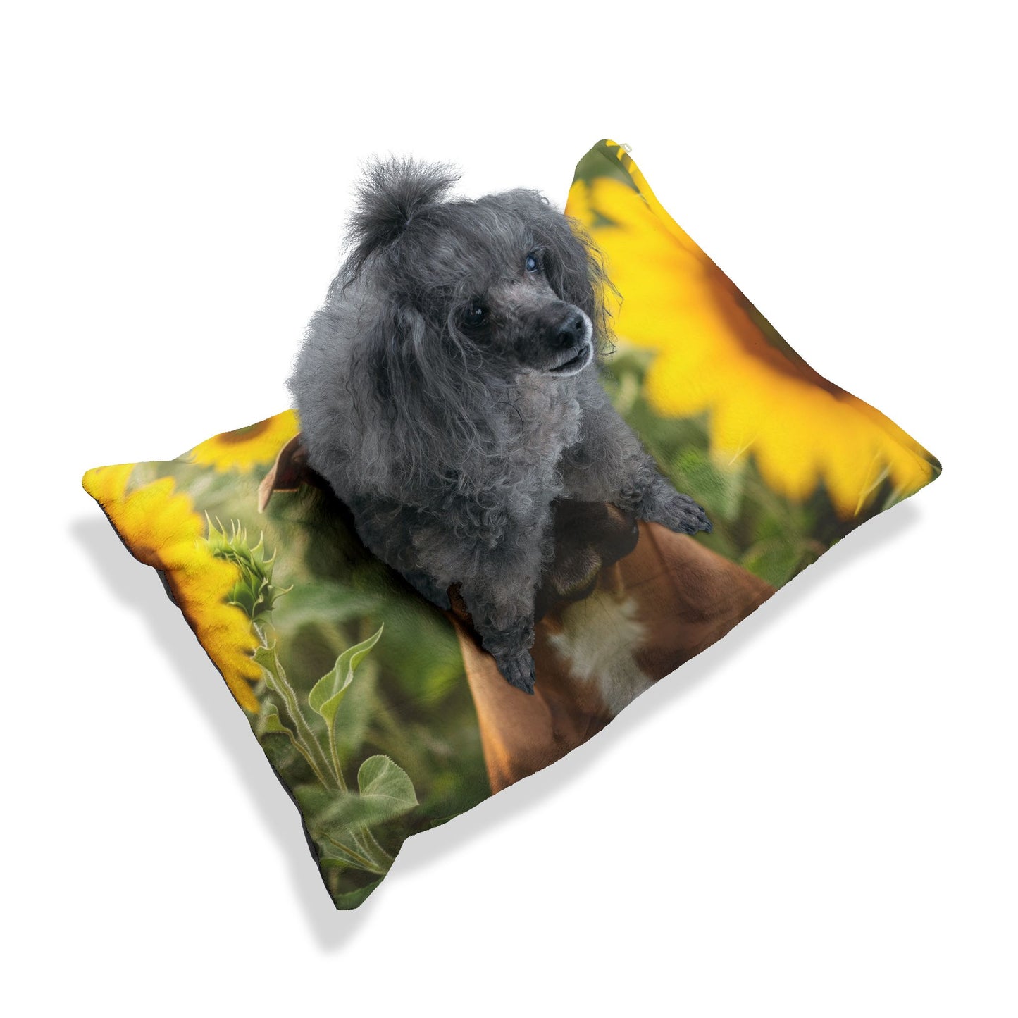 American Staffordshire Terrier Pet Bed
