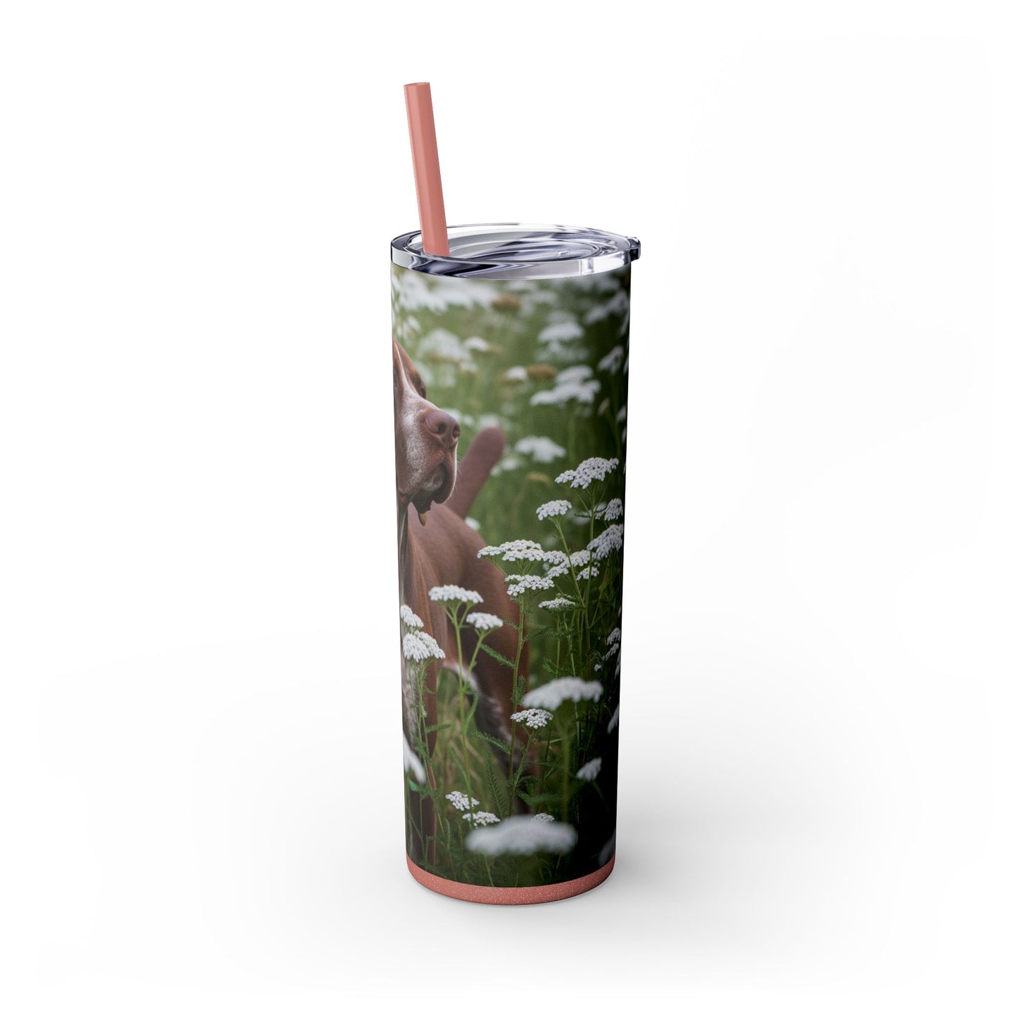 Braque du Bourbonnais Tumbler with Straw, 20oz
