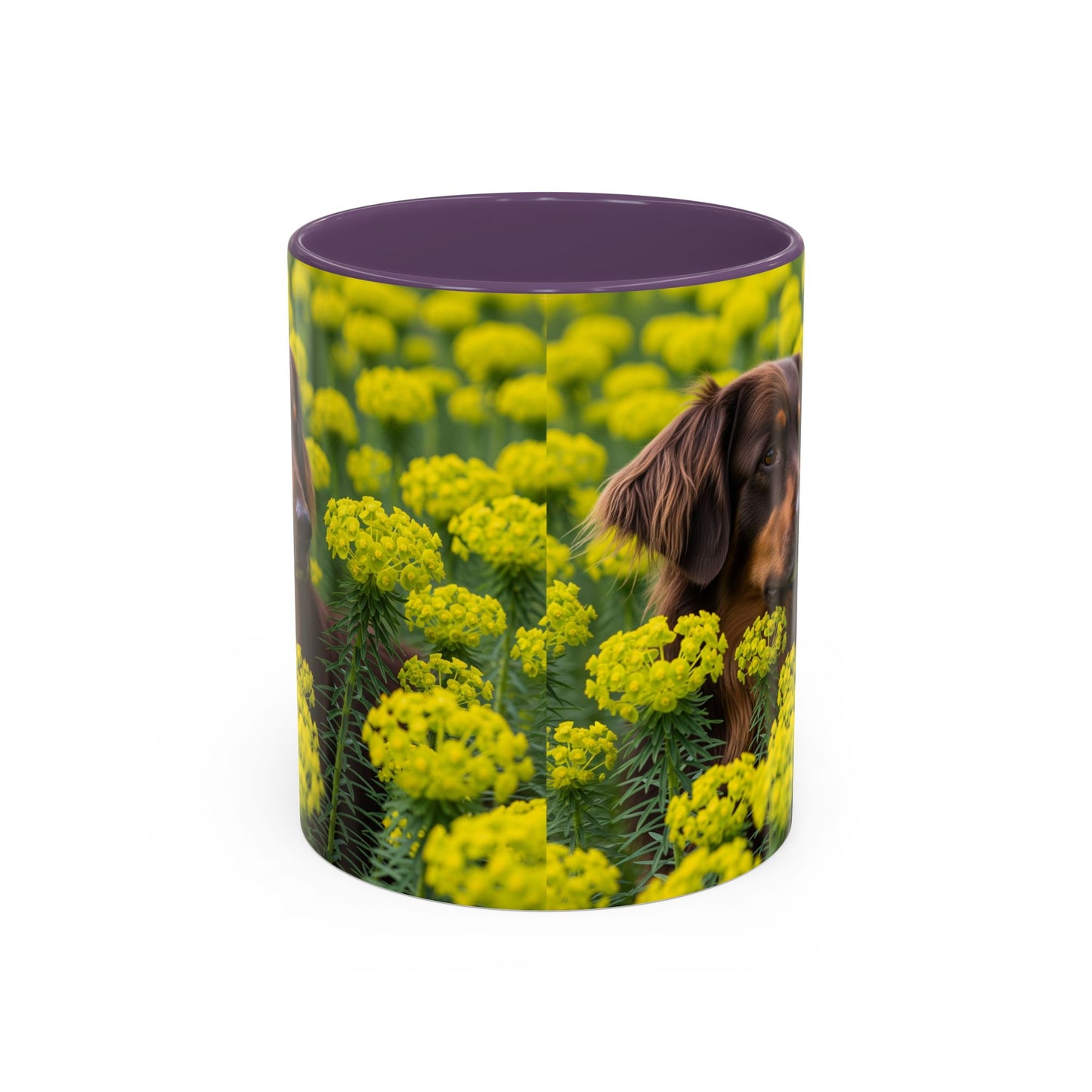 Hovawart Accent Coffee Mug - Perfect Gift for Dog Lovers