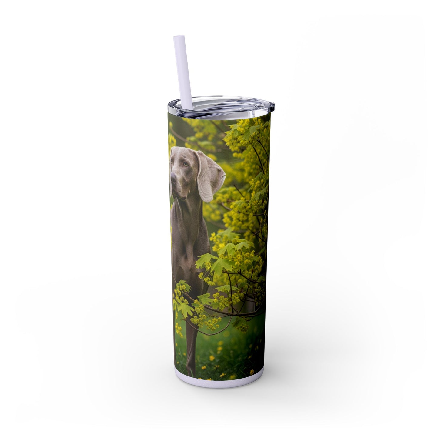 Weimaraner Skinny Tumbler with Straw, 20oz