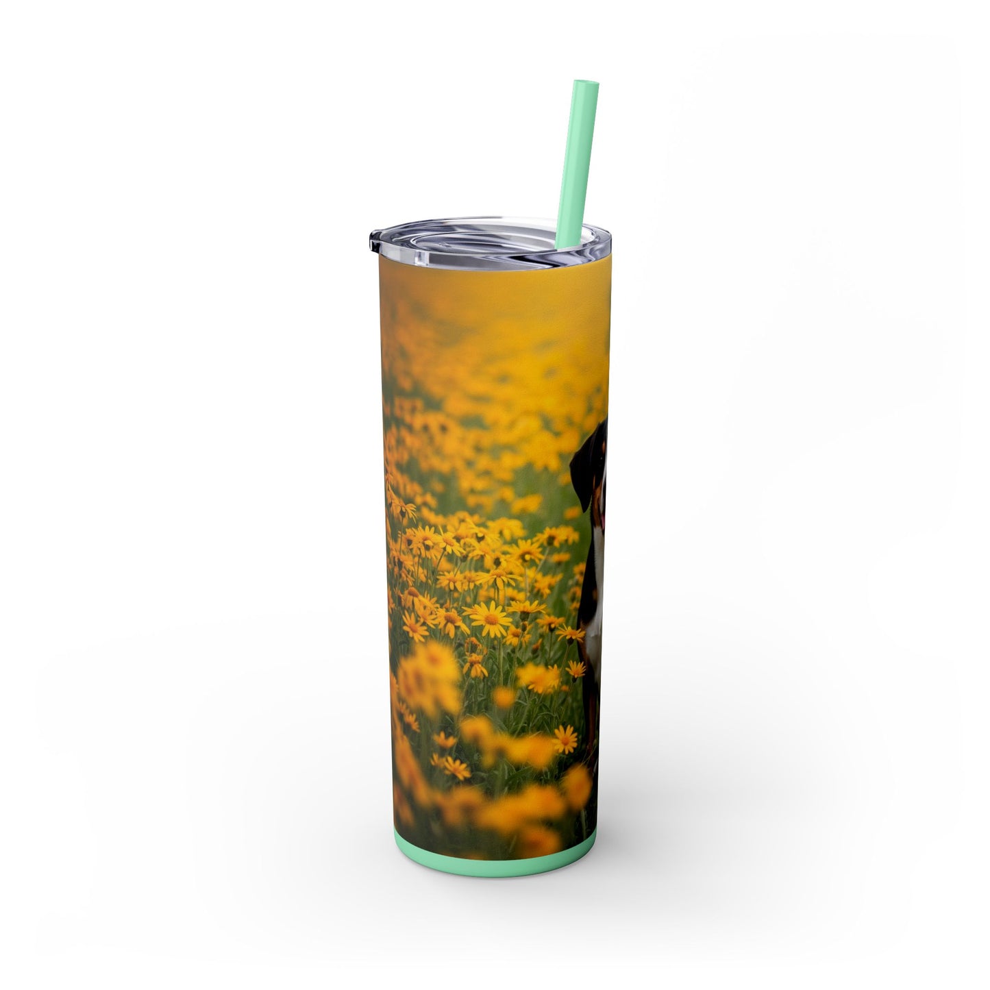 Entlebucher Mountain Dog Skinny Tumbler with Straw, 20oz