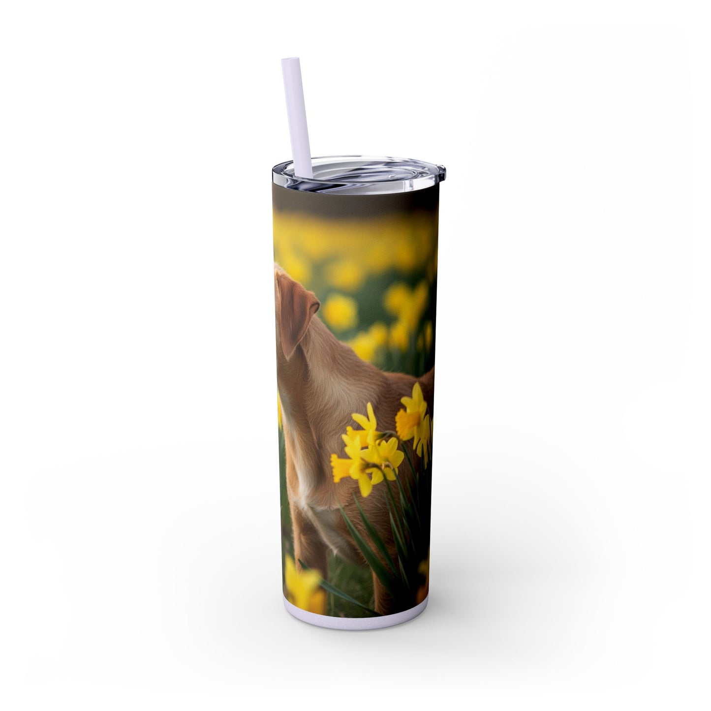 Portuguese Podengo Pequeno Skinny Tumbler with Straw, 20oz