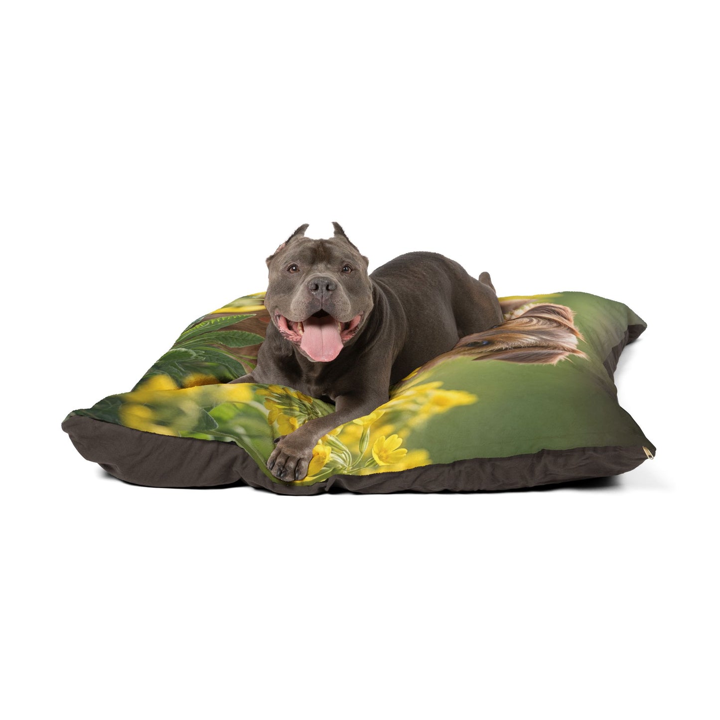 Norfolk Terrier Pet Bed