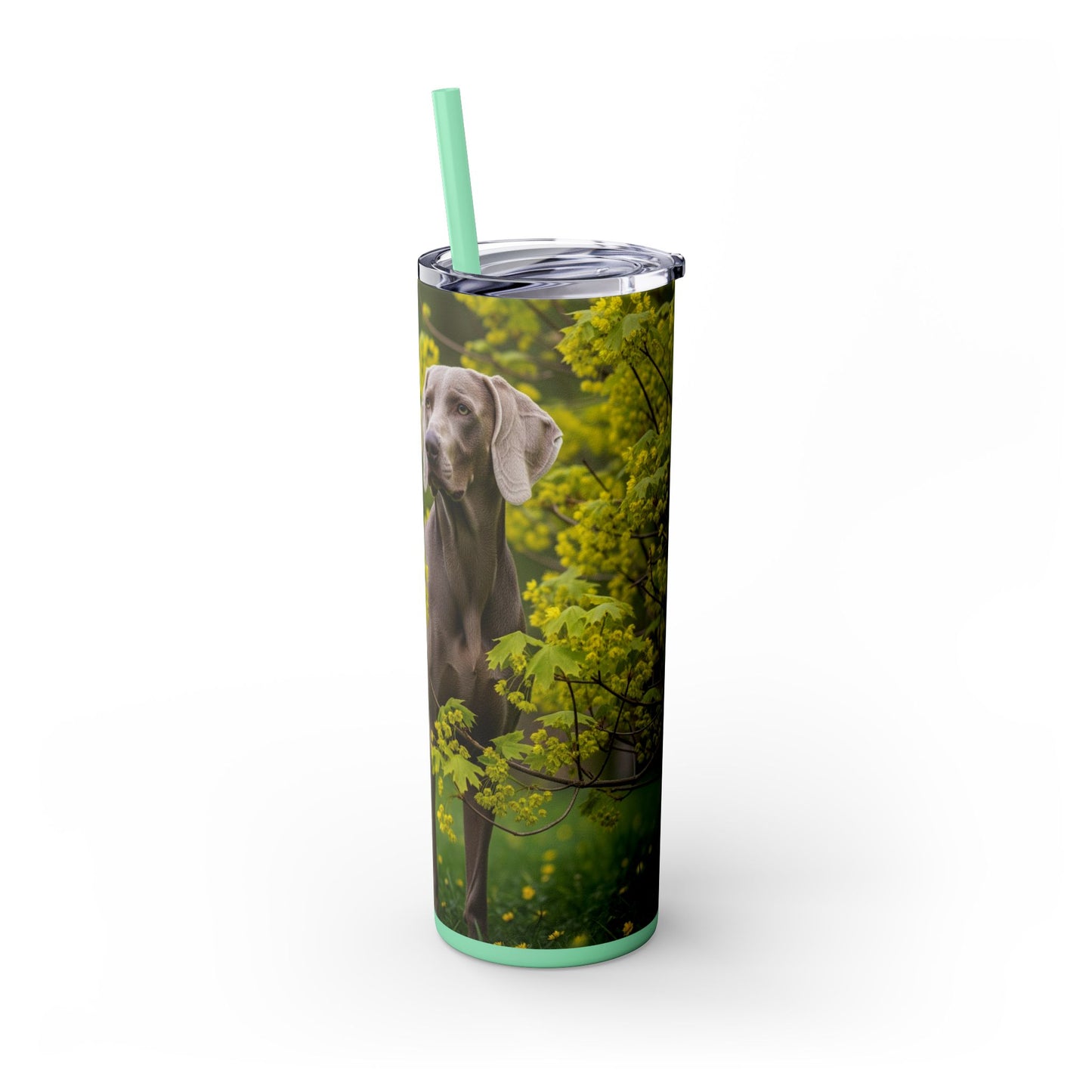Weimaraner Skinny Tumbler with Straw, 20oz