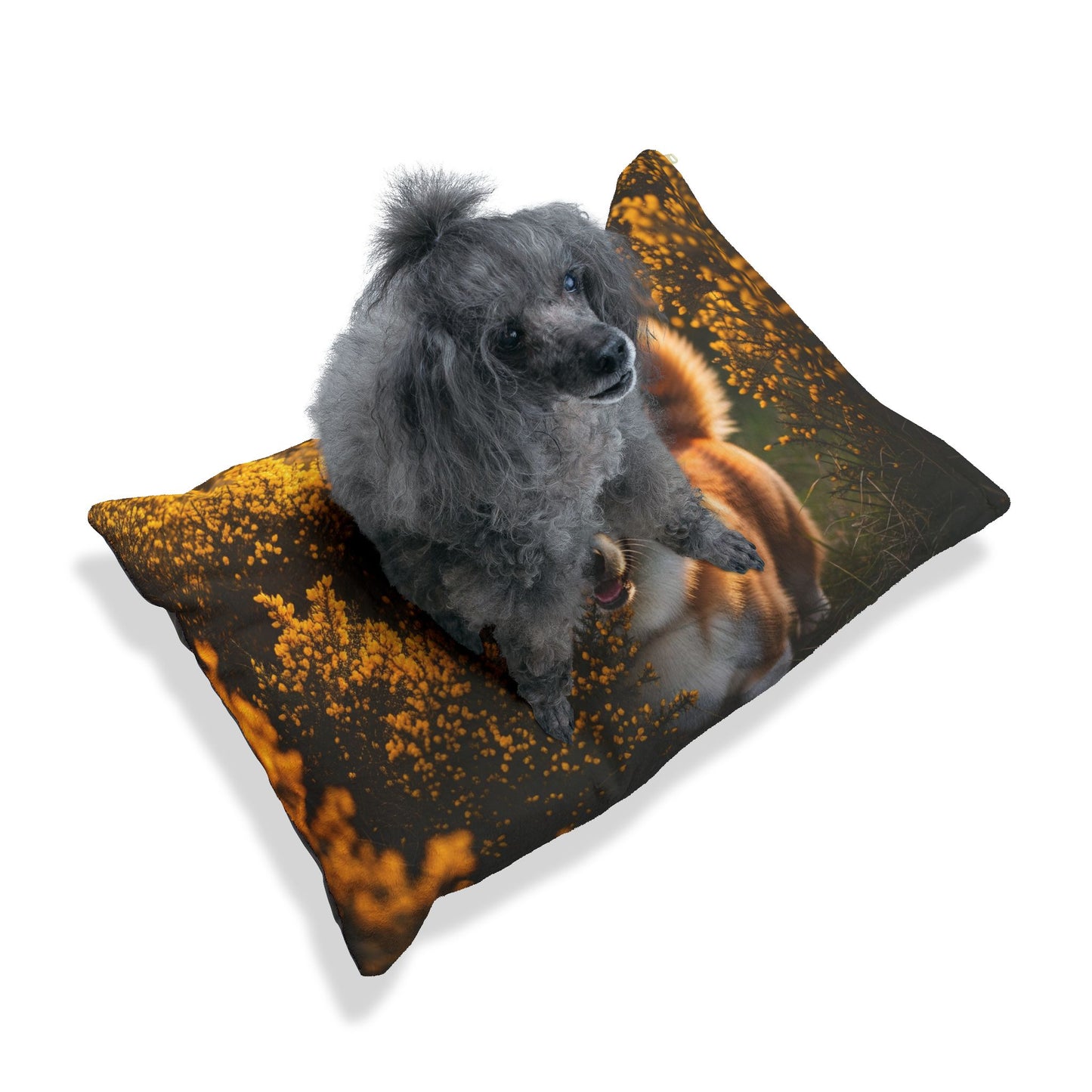 Pembroke Welsh Corgi Pet Bed