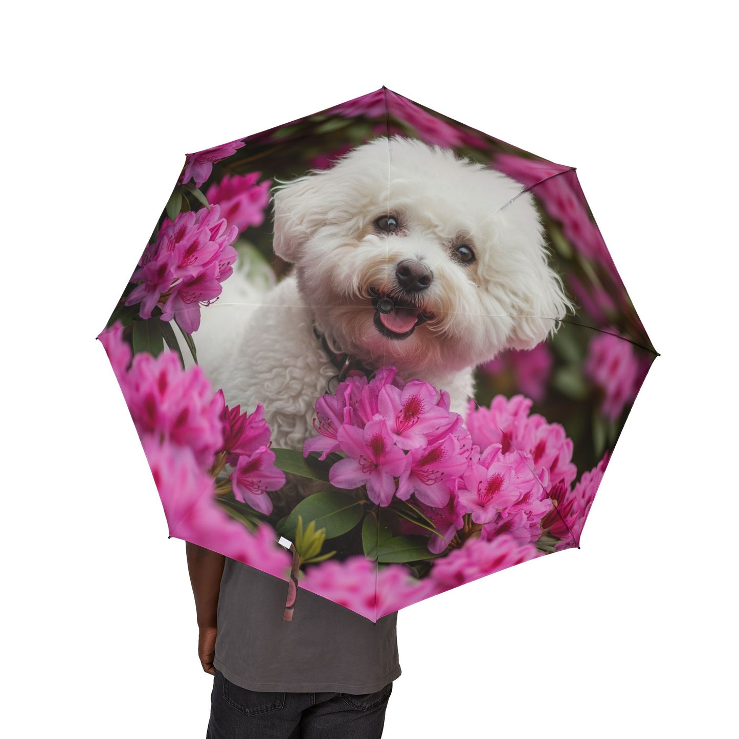 Bichon Frise Semi-Automatic Foldable Umbrella