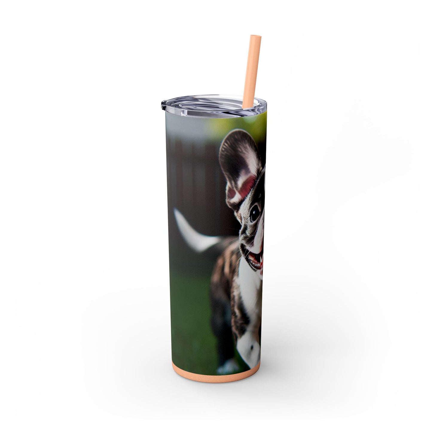 Frenchton Tumbler with Straw, 20oz