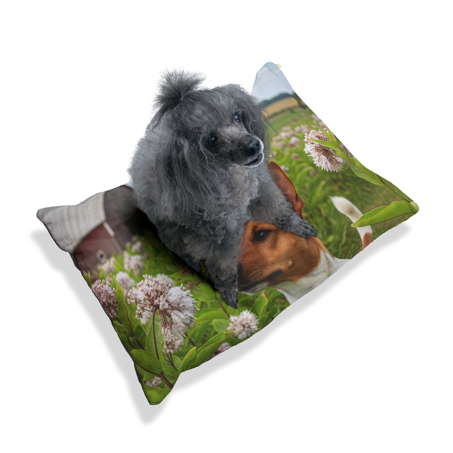 Rat Terrier Pet Bed