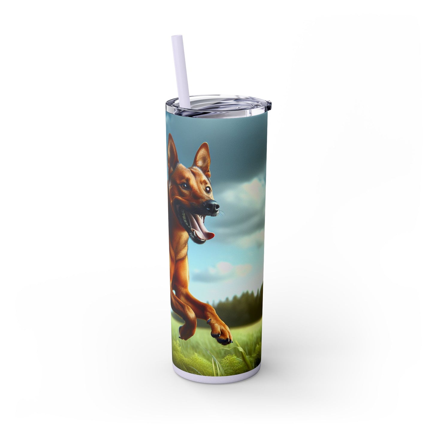 Kanni Tumbler with Straw, 20oz