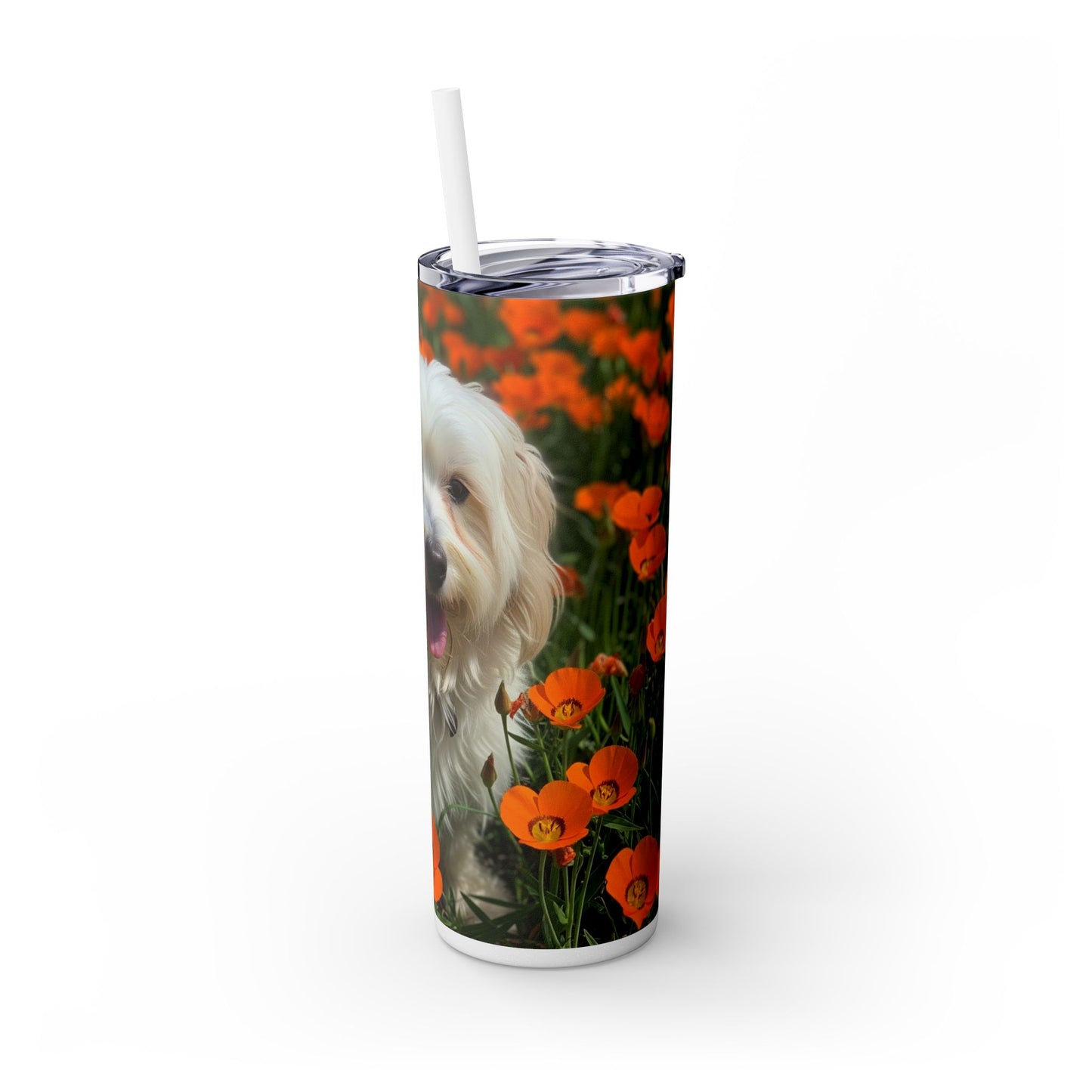 Havanese Tumbler with Straw, 20oz