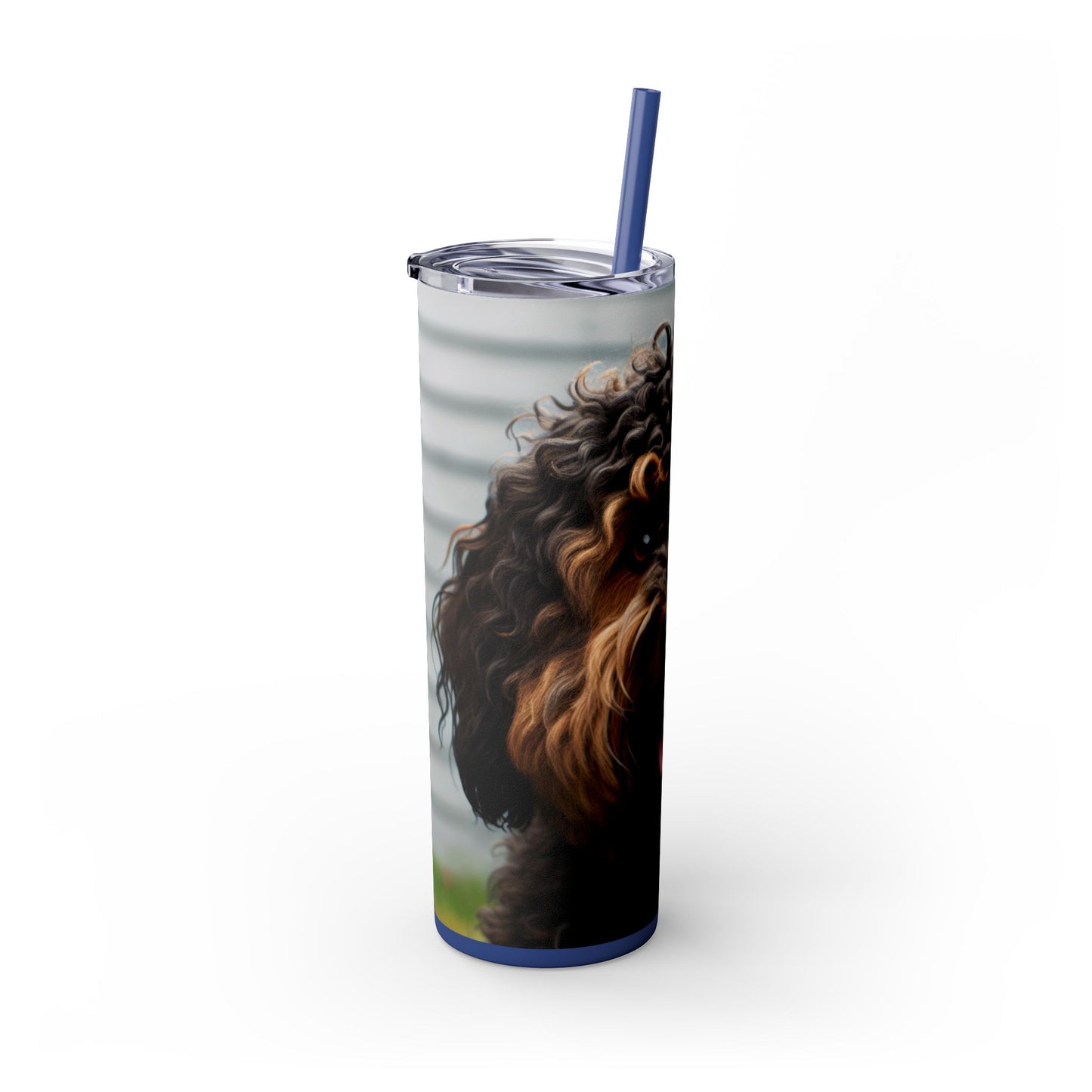 Barbet Tumbler with Straw, 20oz