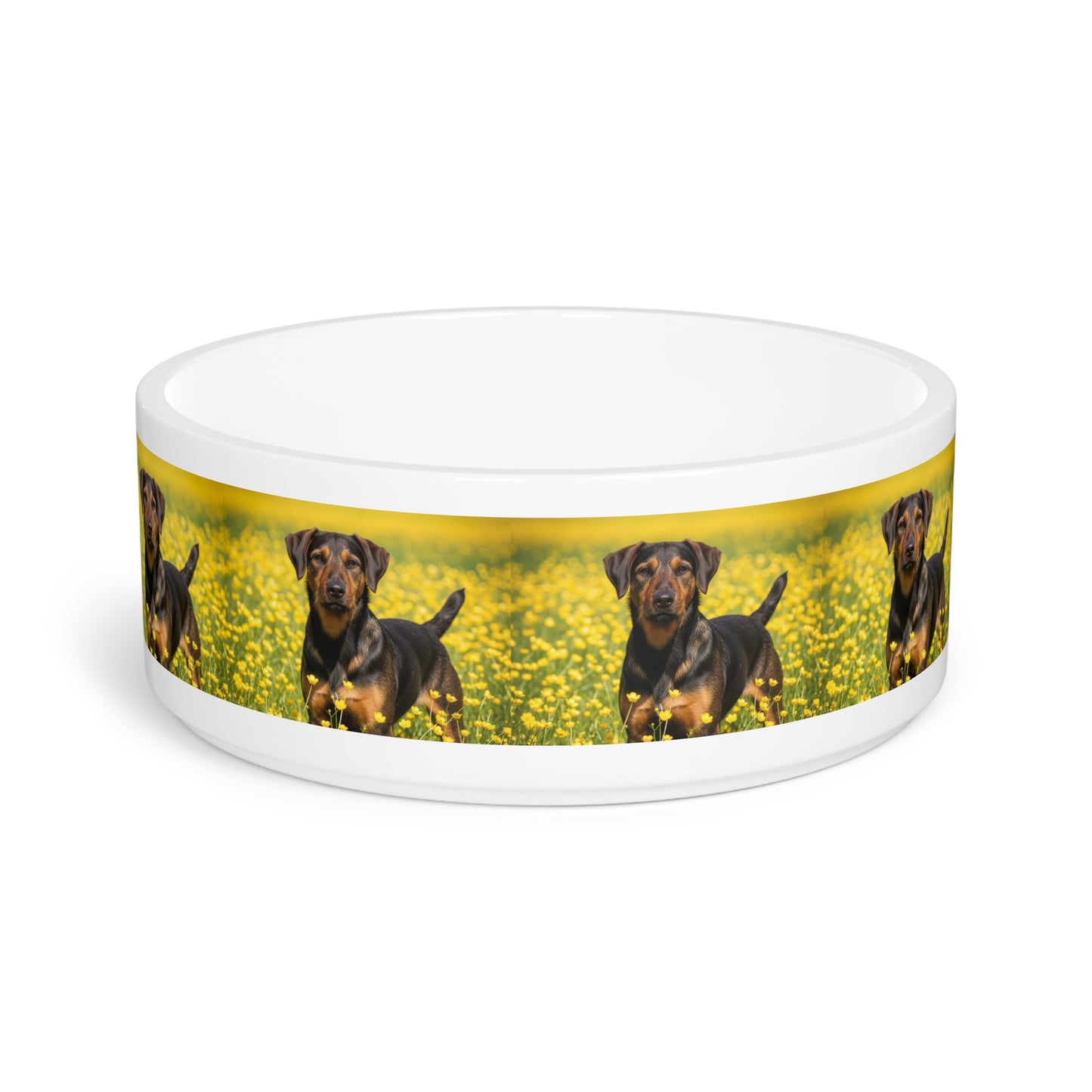 Drever Pet Bowl