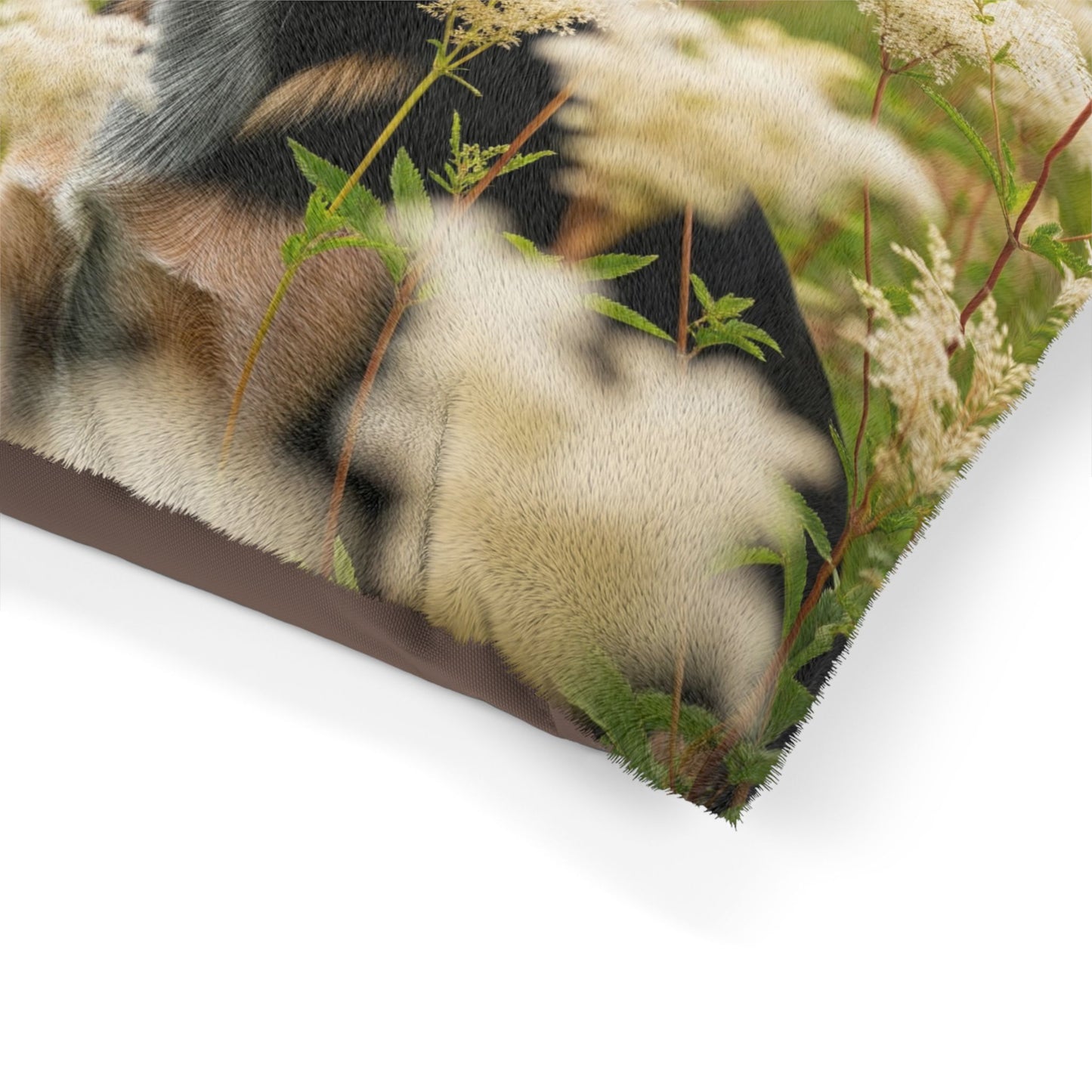 Lancashire Heeler Pet Bed