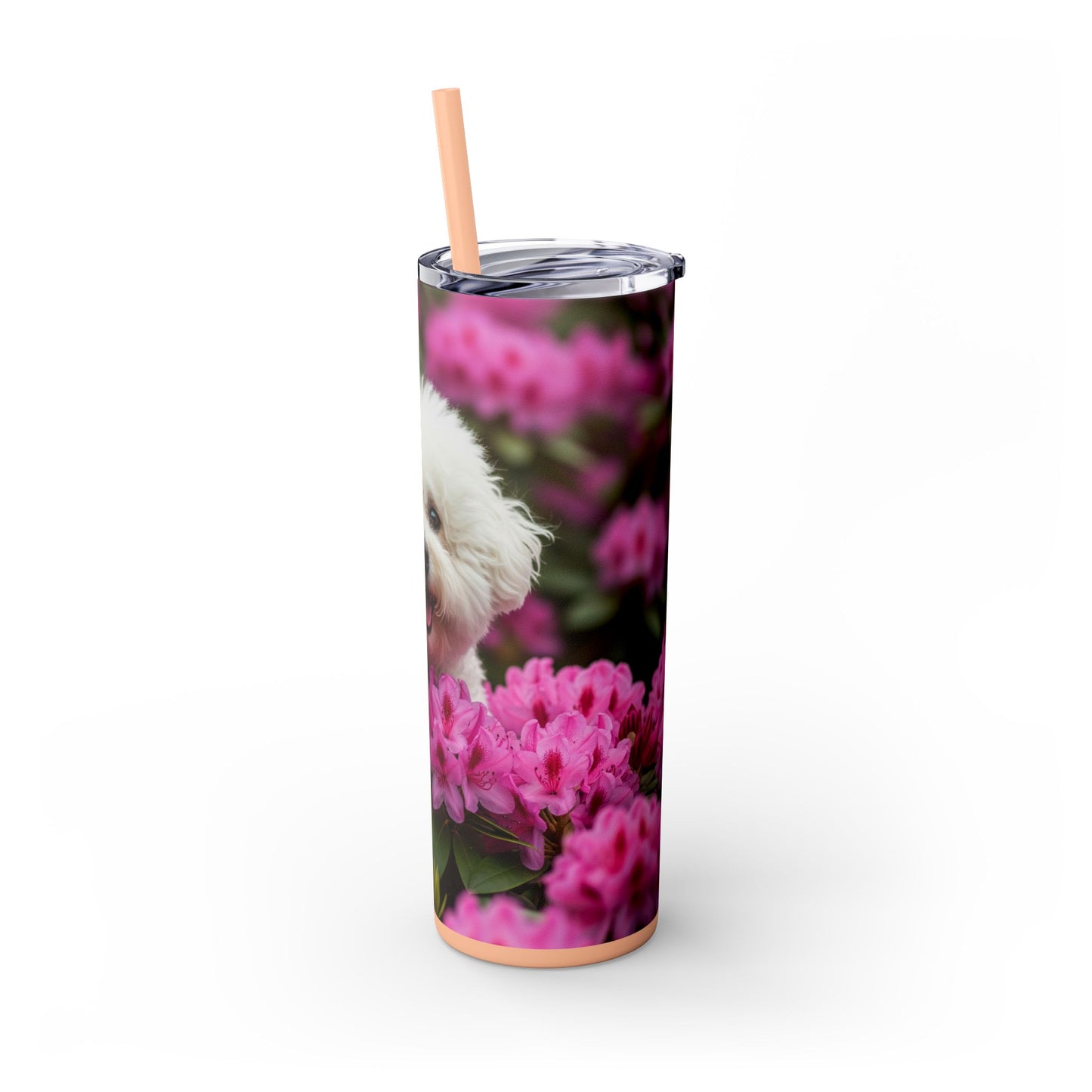Bichon Frise Tumbler with Straw, 20oz