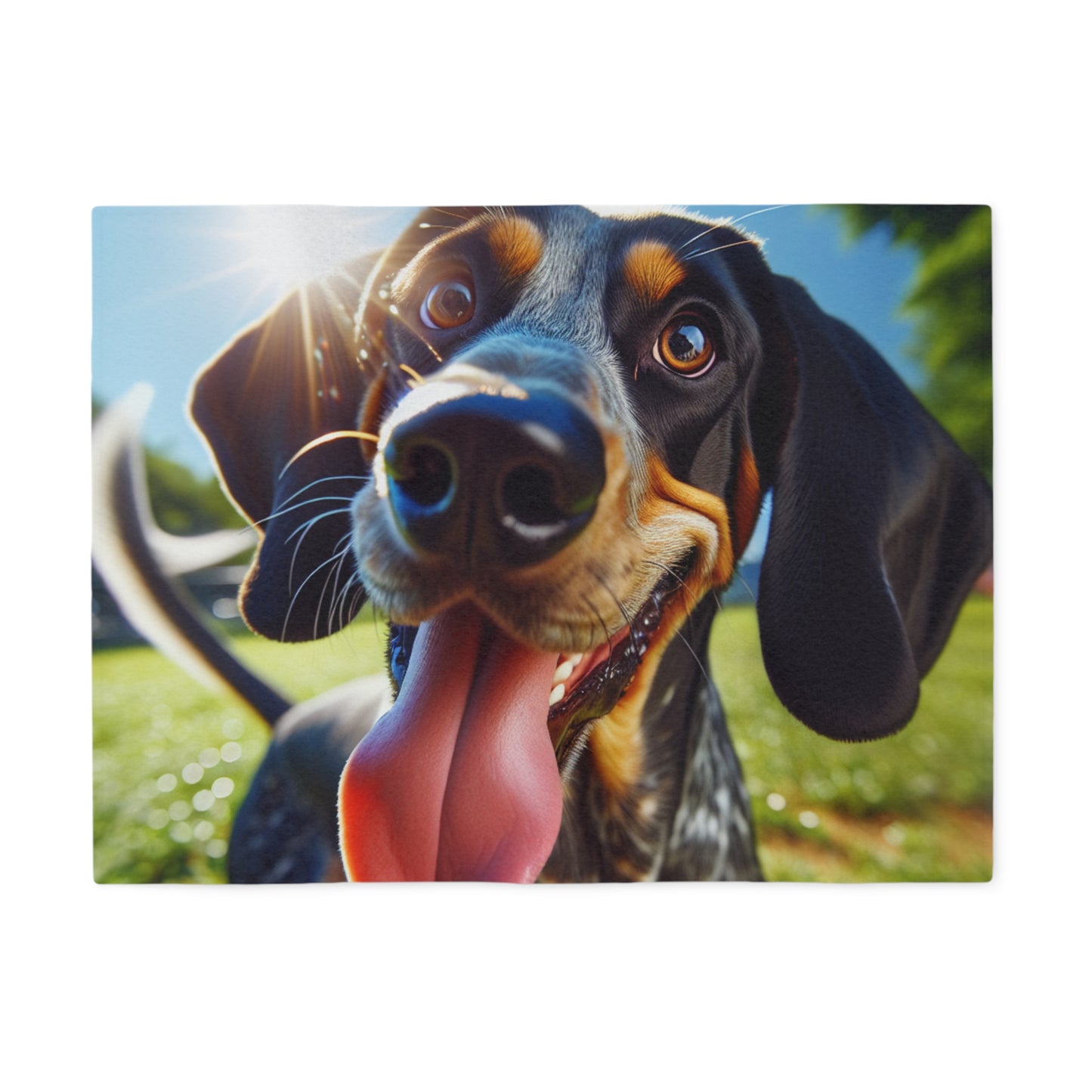 Bluetick Coonhound Sweatshirt Blanket