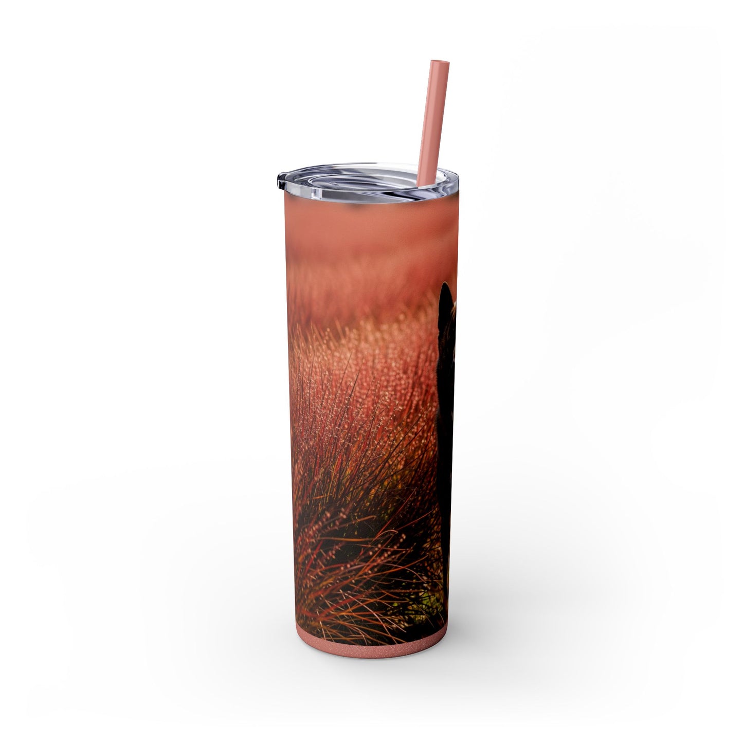 Kai Ken Tumbler with Straw, 20oz