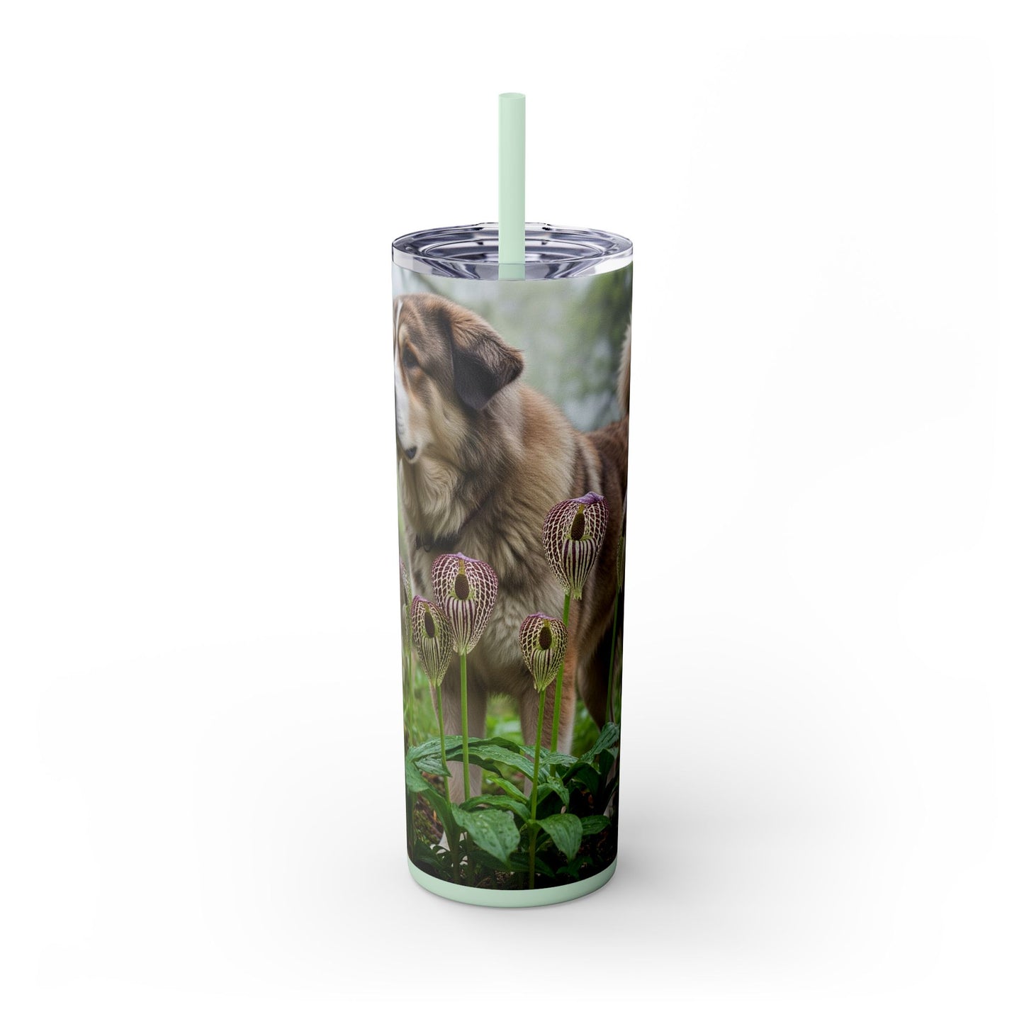 Bakharwal Tumbler with Straw, 20oz