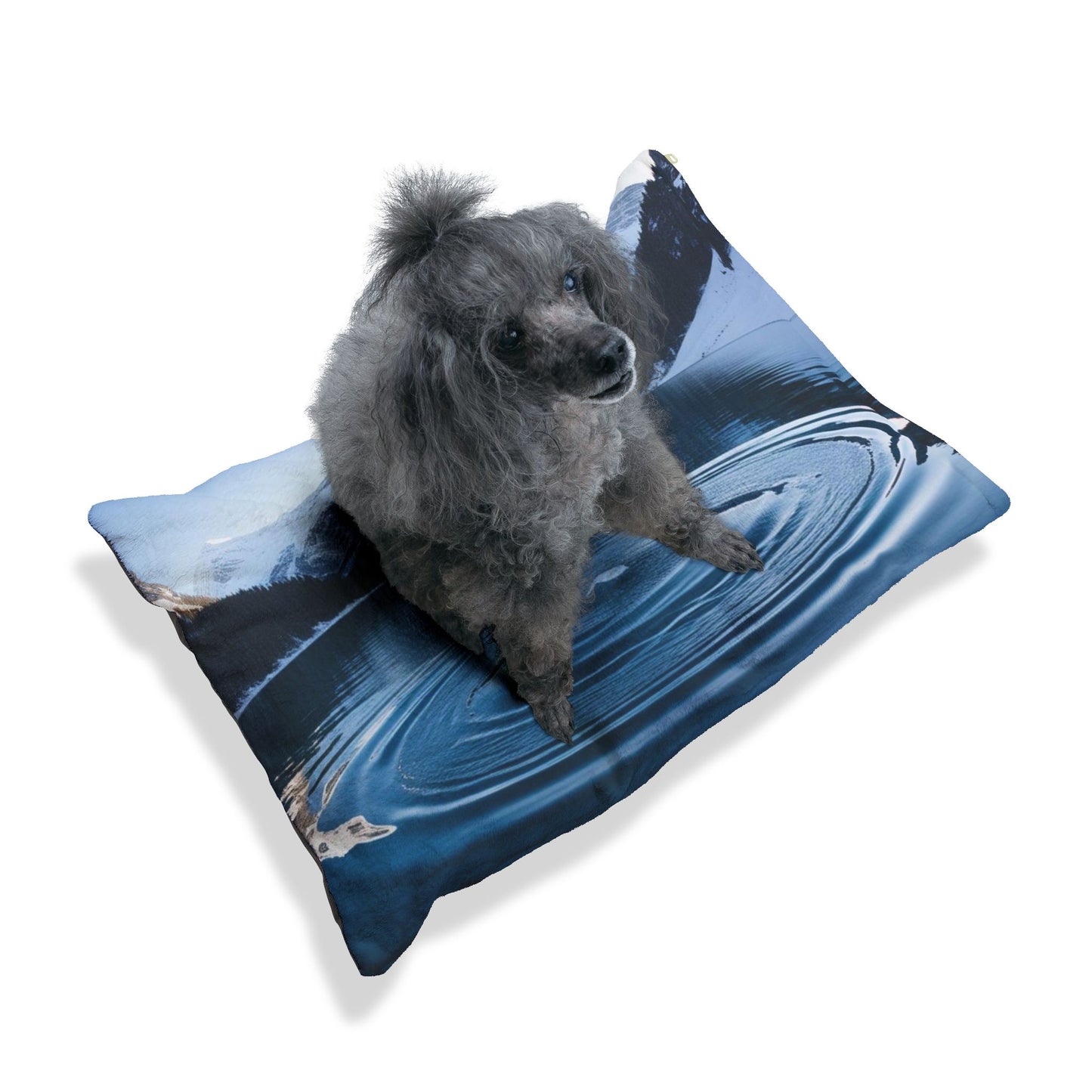 Ripple in a Snowy Mountain Lake Pet Bed