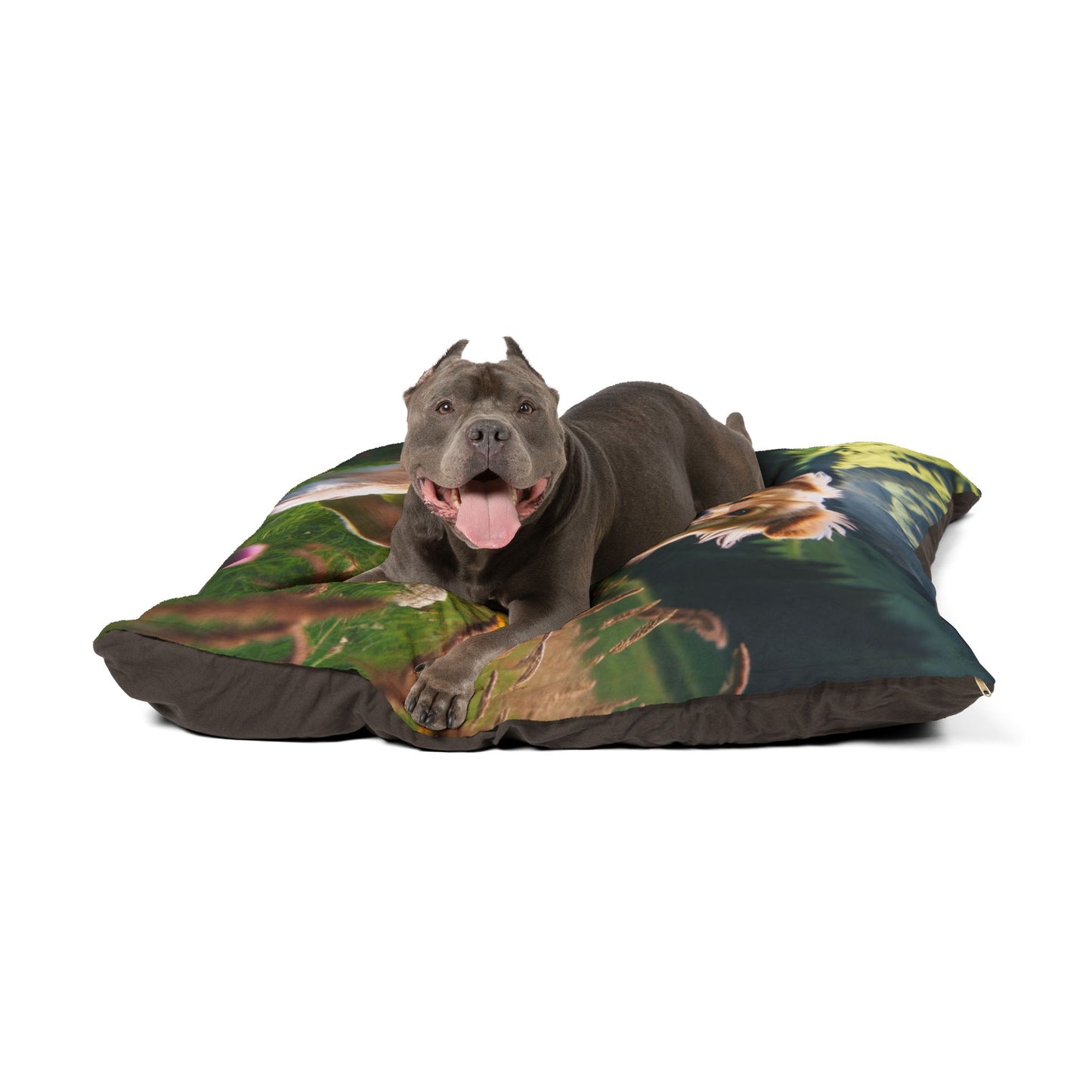 Romanian Carpathian Shepherd Pet Bed