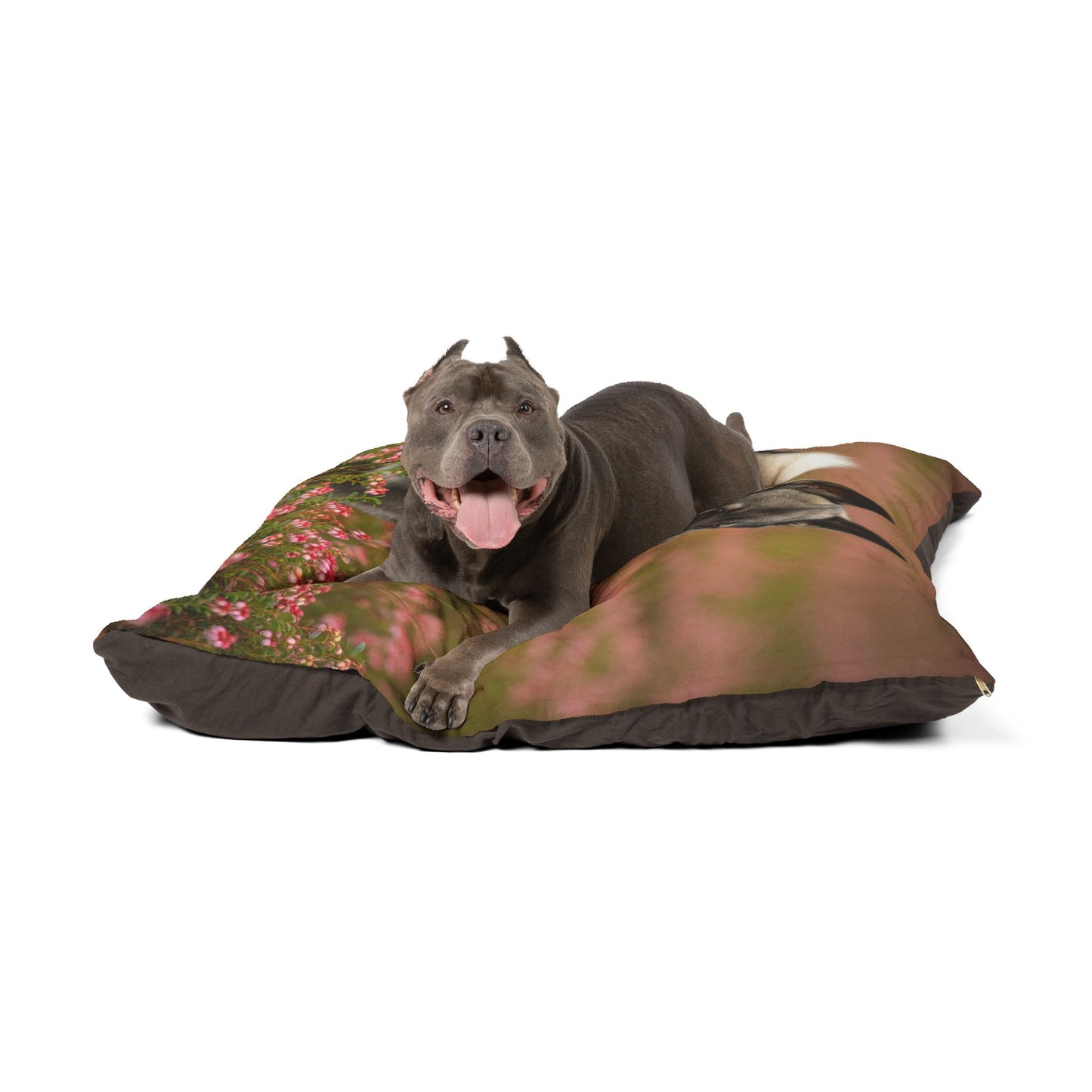 Norwegian Elkhound Pet Bed