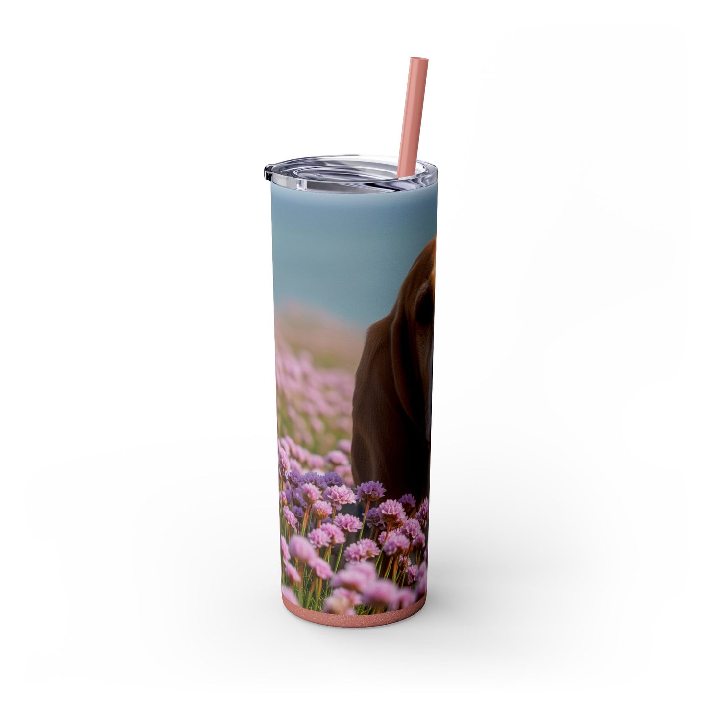 Basset Fauve de Bretagne Skinny Tumbler with Straw, 20oz